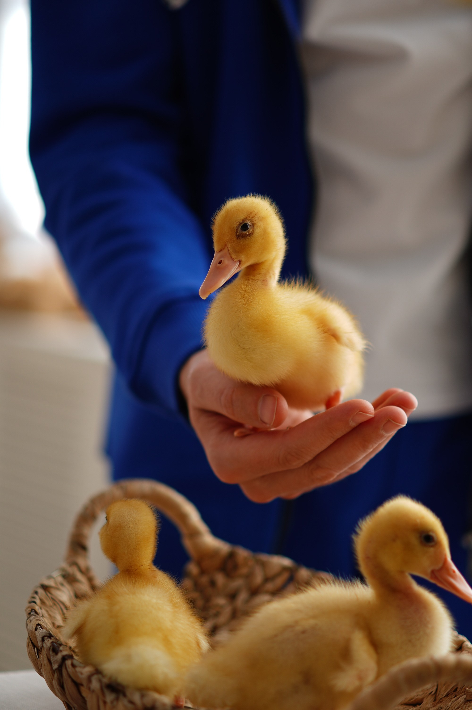 Семейная фотосессия на Пасху. Фото и видео съёмка в Москве и МО Александр Чапала и Трояк Алеся