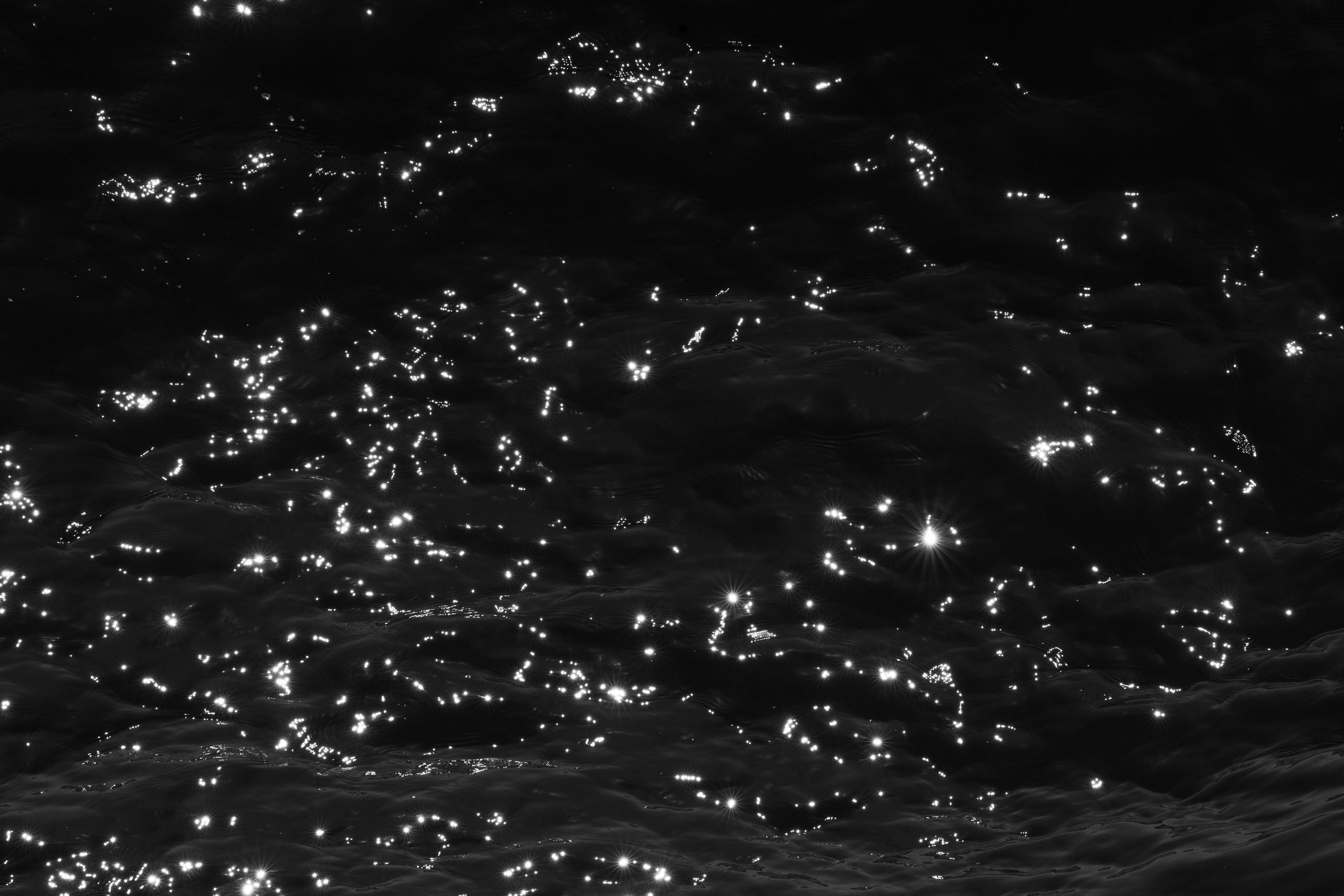 Пределы видимости | Visibility limits. Фотограф алина стерхова, алина стерхова фотограф, фотограф москва