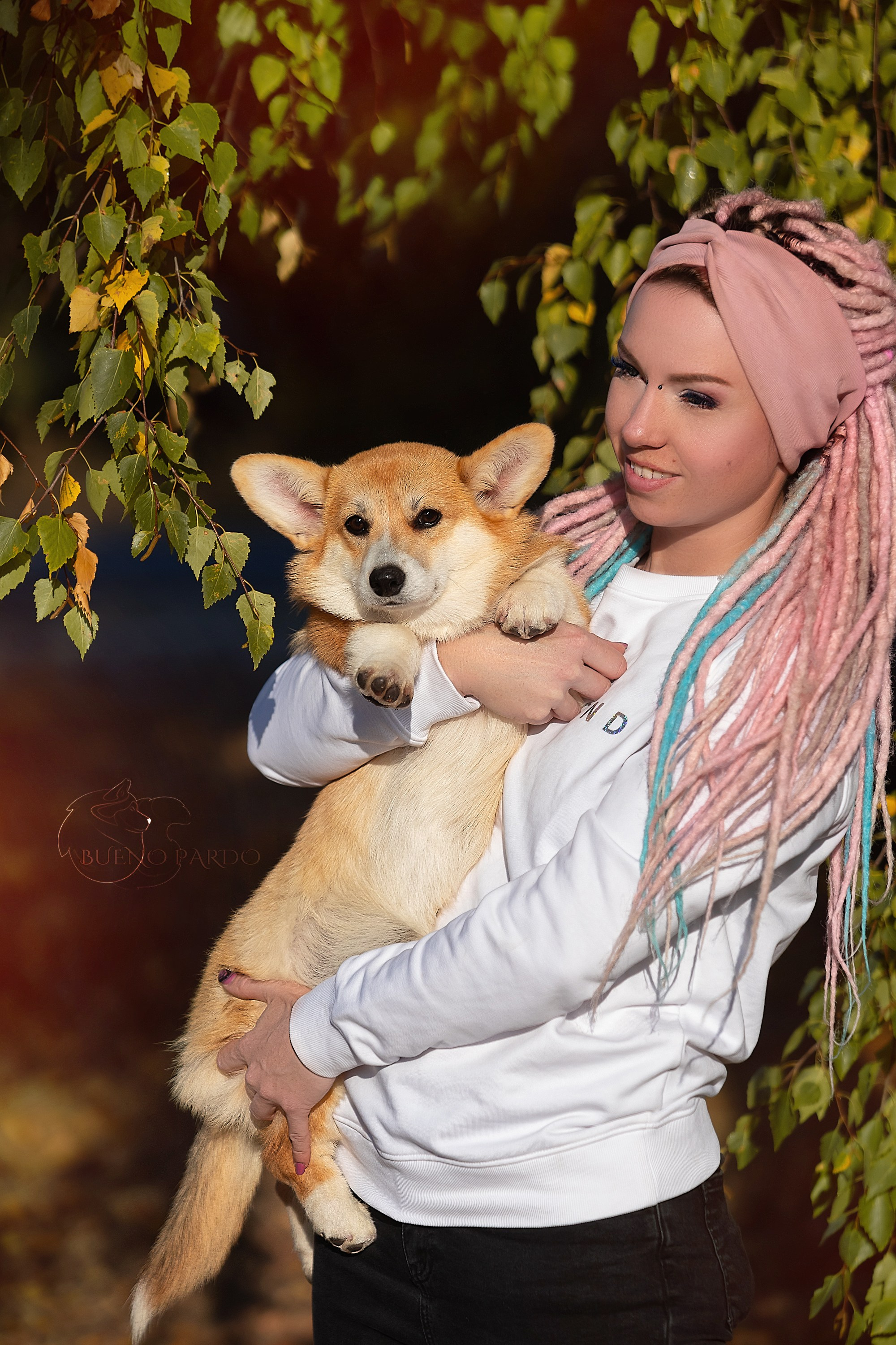 Щенки вельш корги пемброк из питомника. Питомник собак Акита, Хаски, Корги