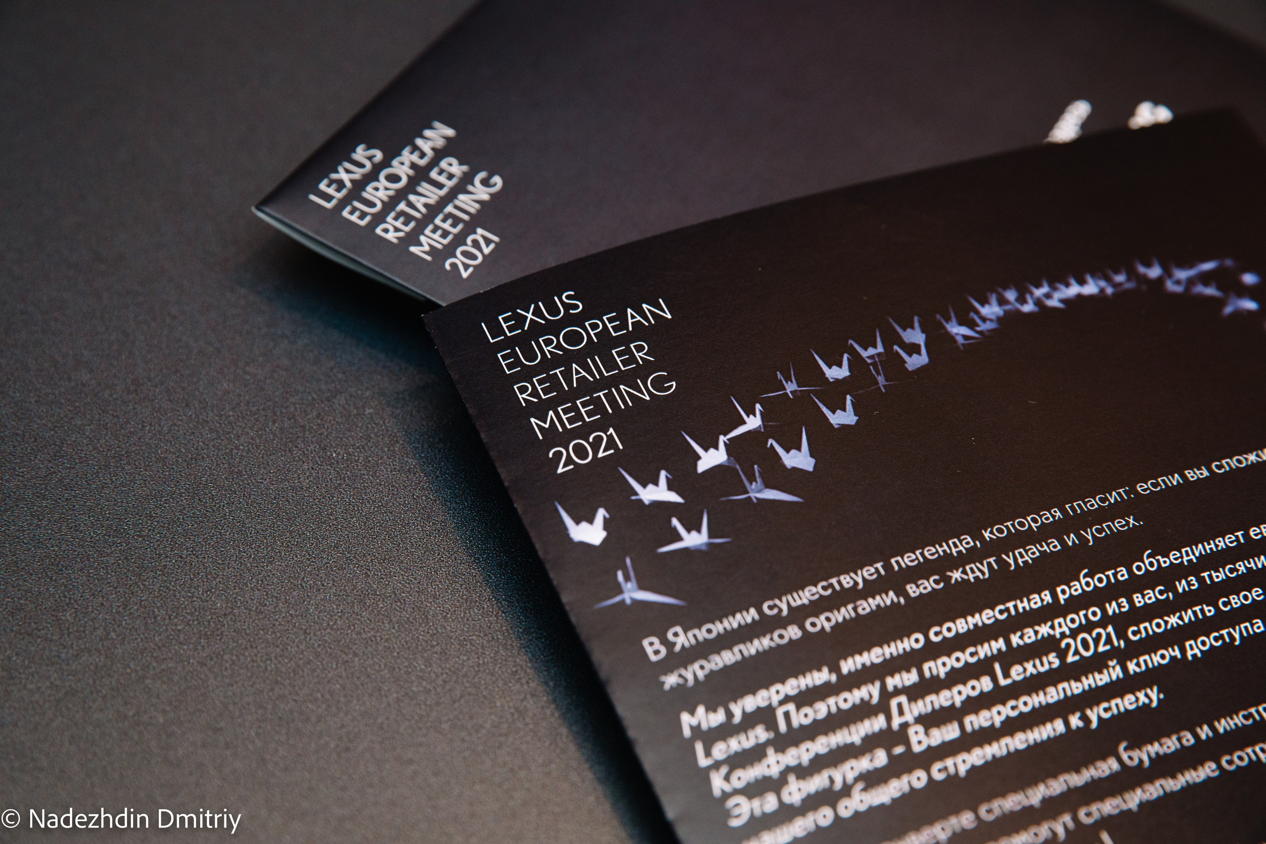 Lexus ERM. Nadezhdin Studio