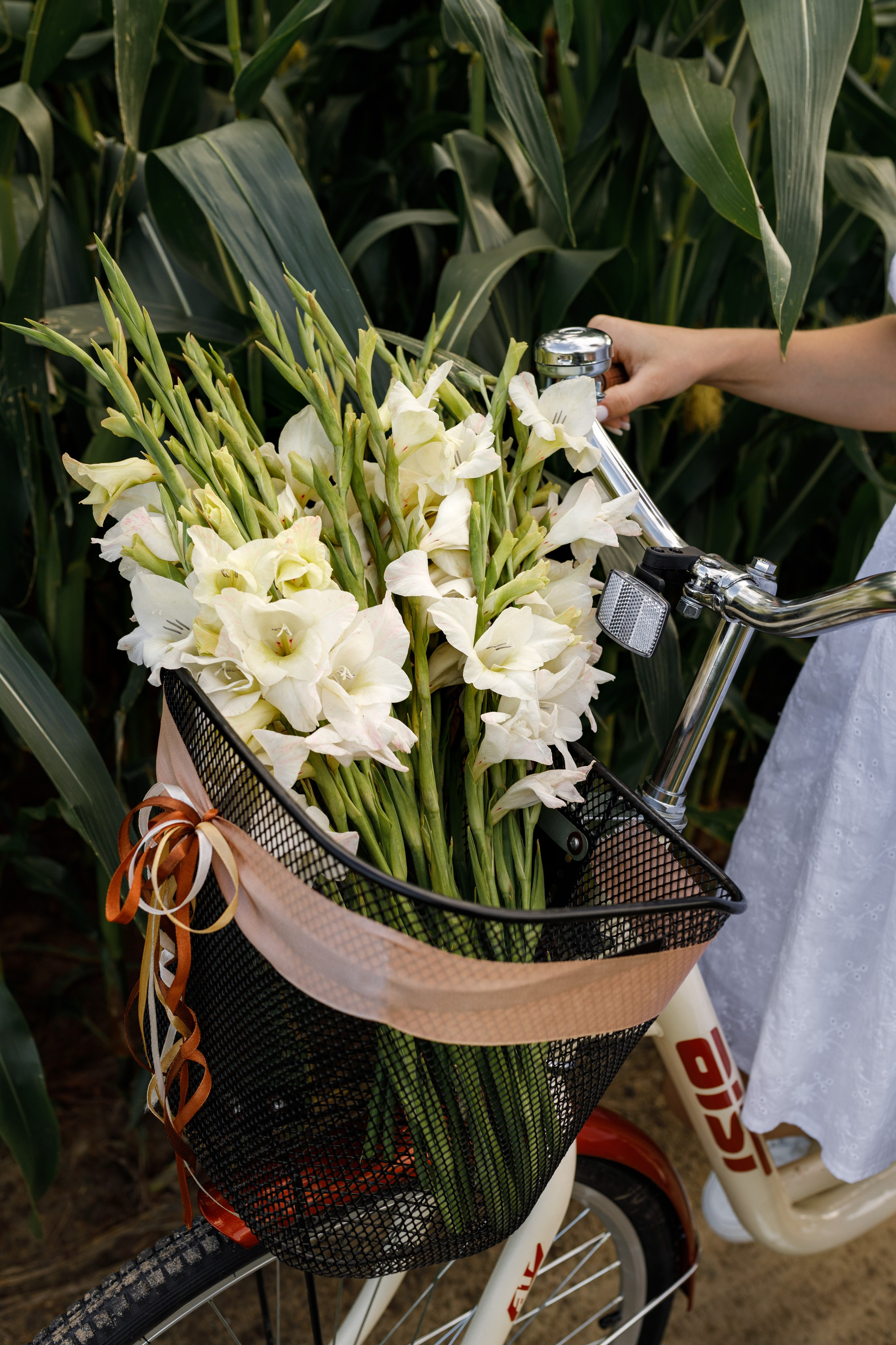 ВЕЛОПРОГУЛКА. Cheta Kovalevsky фотографы