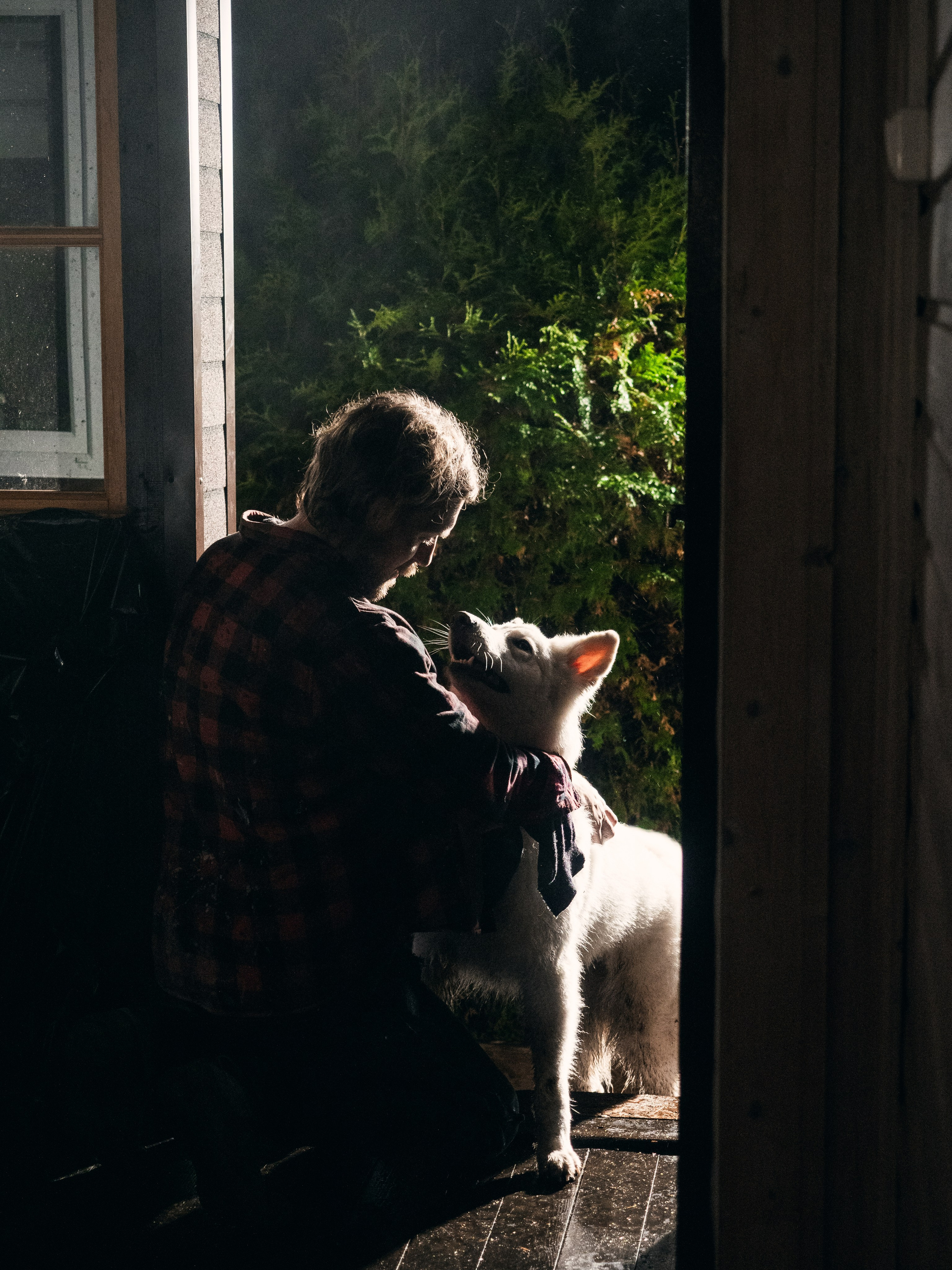 Бэкстейдж. Фотограф животных и людей в Санкт-Петербурге Дарья Быстрицкая