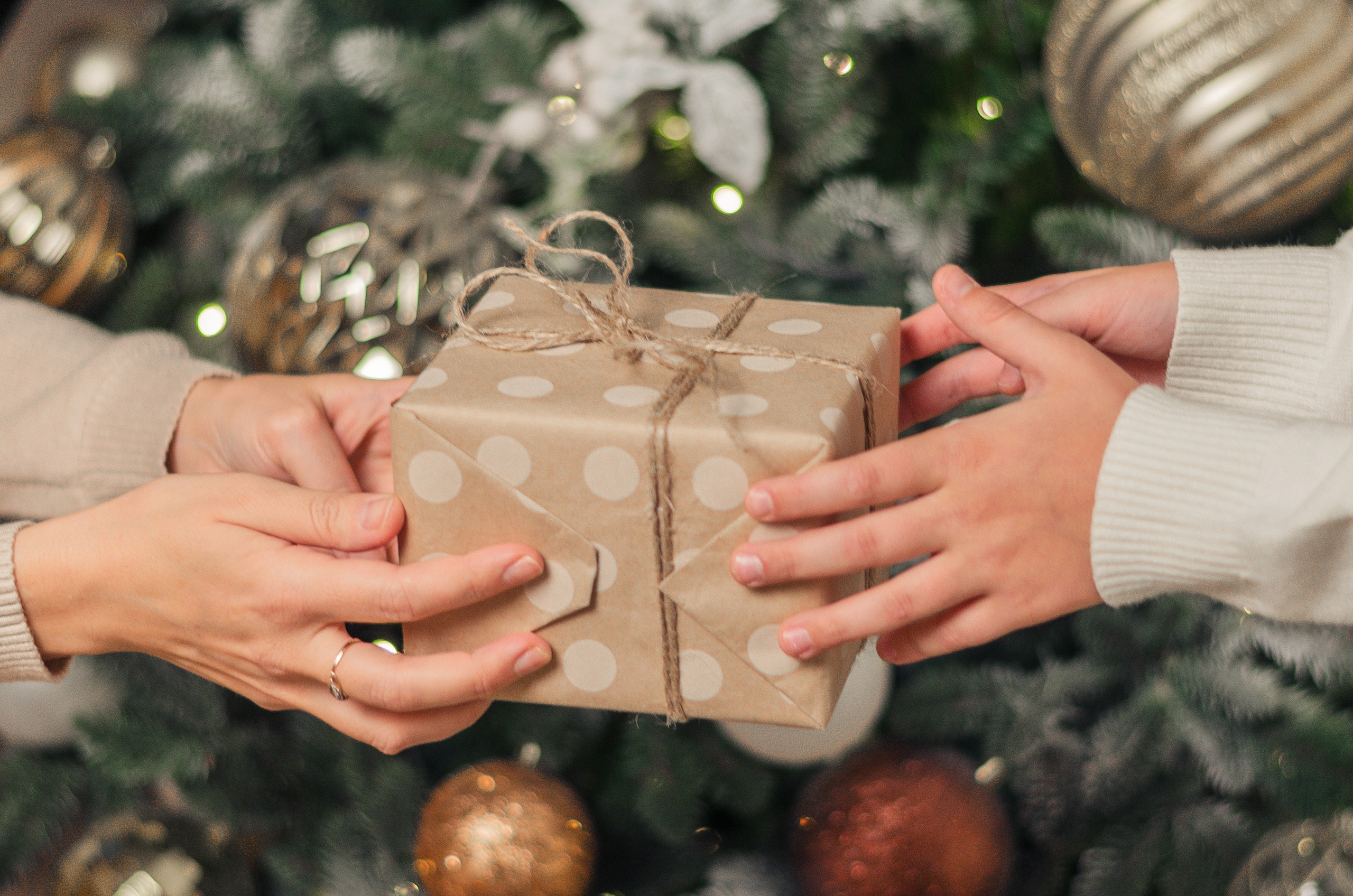 Новогодняя фотосессия сергиев посад. Свадебный фотограф в Сергиевом Посаде недорого Ольга Гузанова