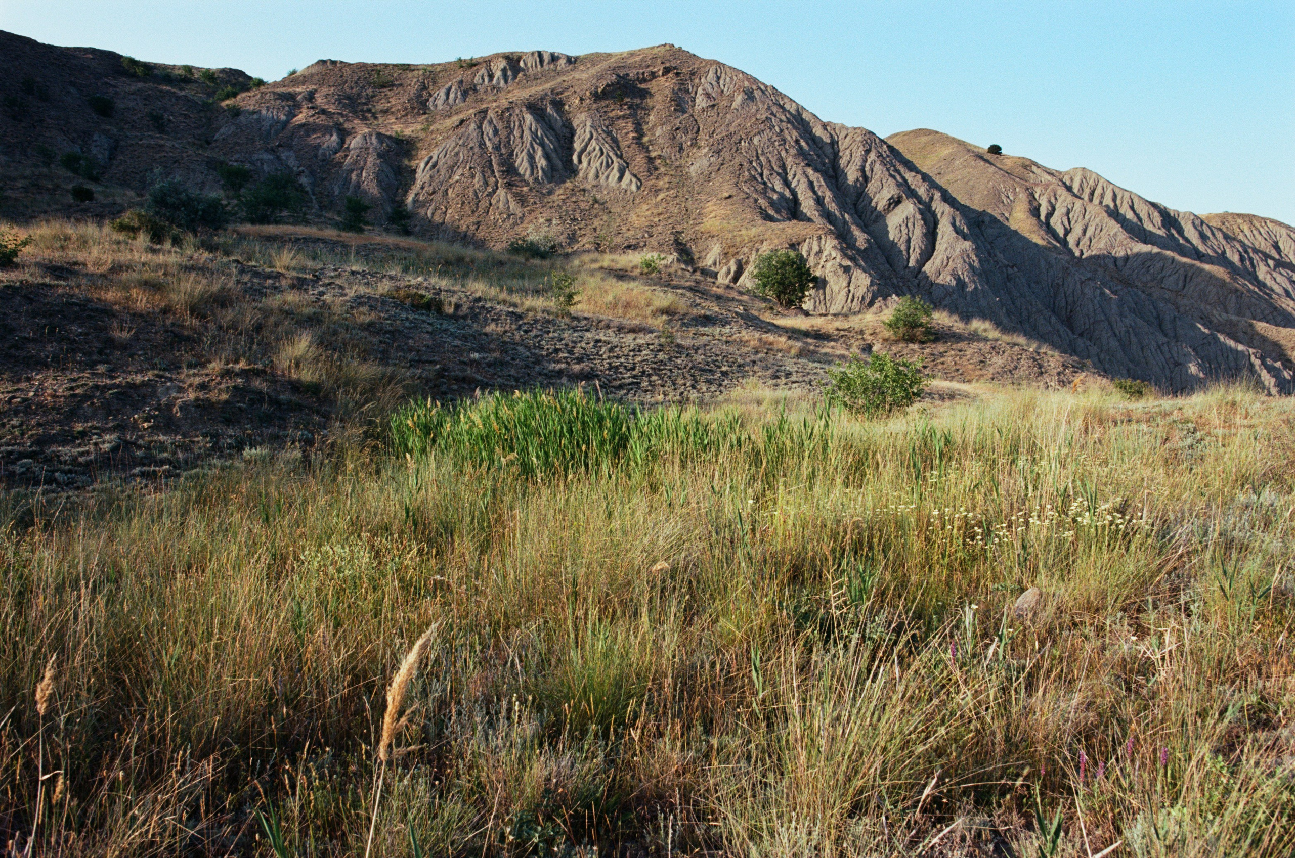 Point of no reply // ukraine, crimea X. EVER EXPOSED