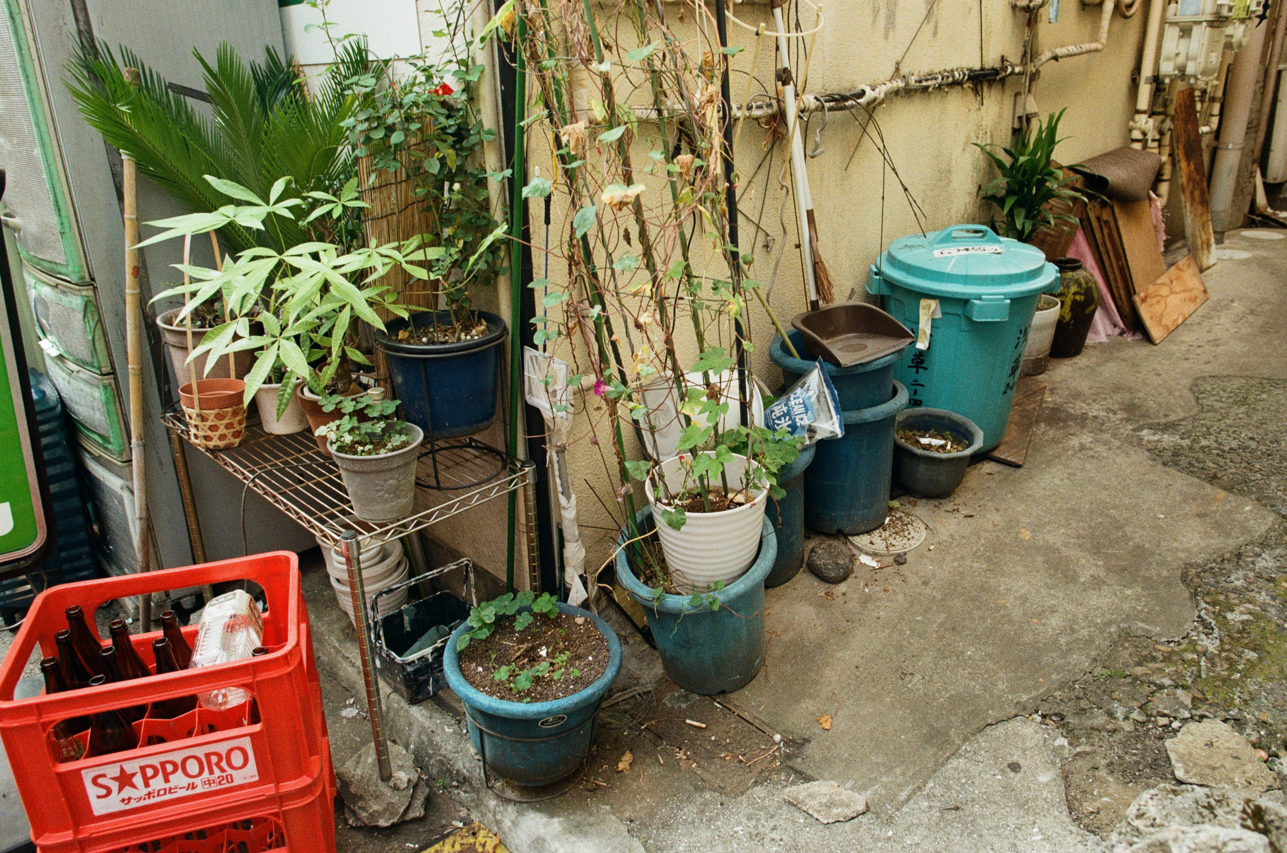 Out of noise // japan, tokyo IV. EVER EXPOSED