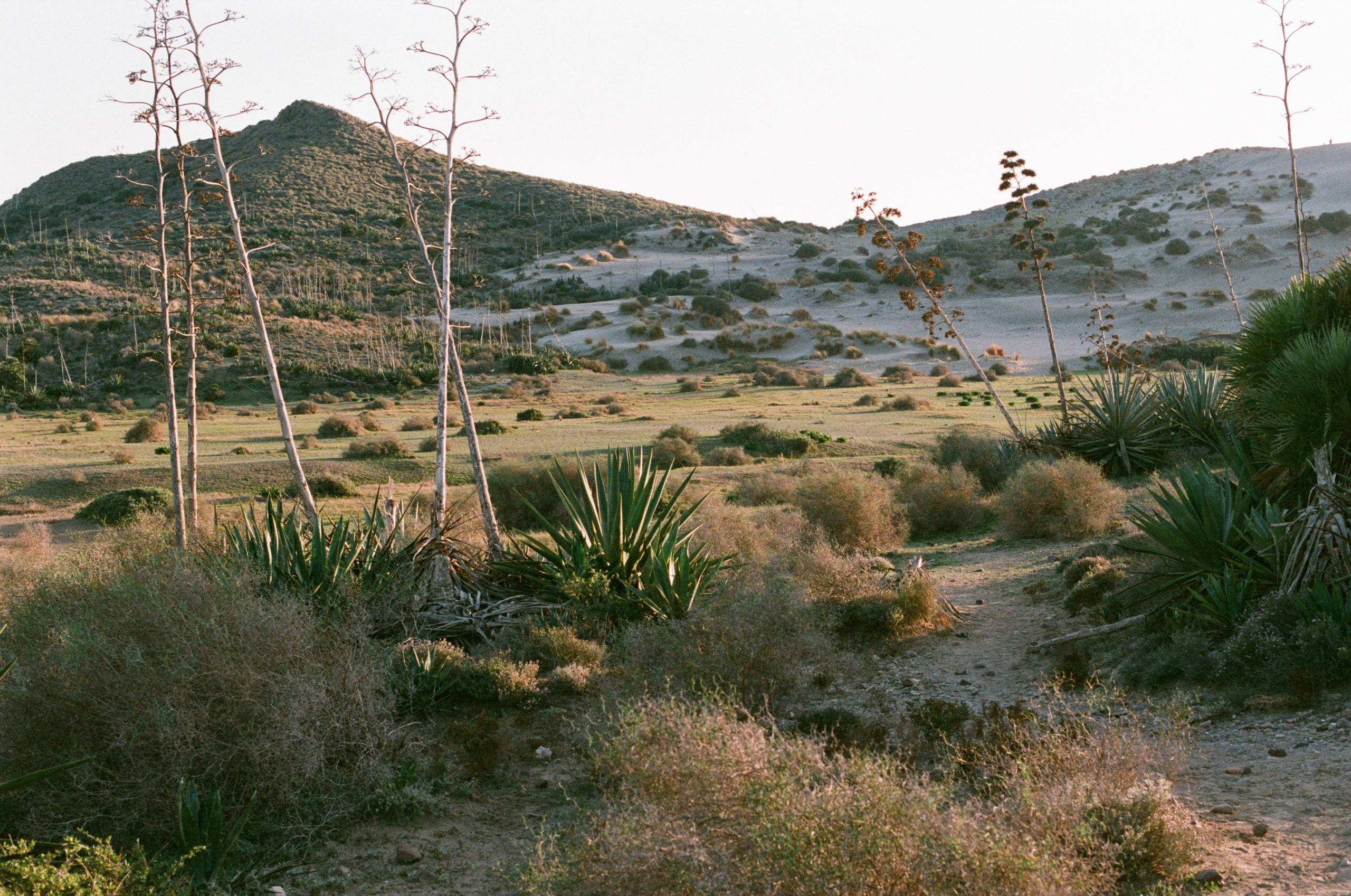 Spanish sahara // spain, cabo de gata II. EVER EXPOSED