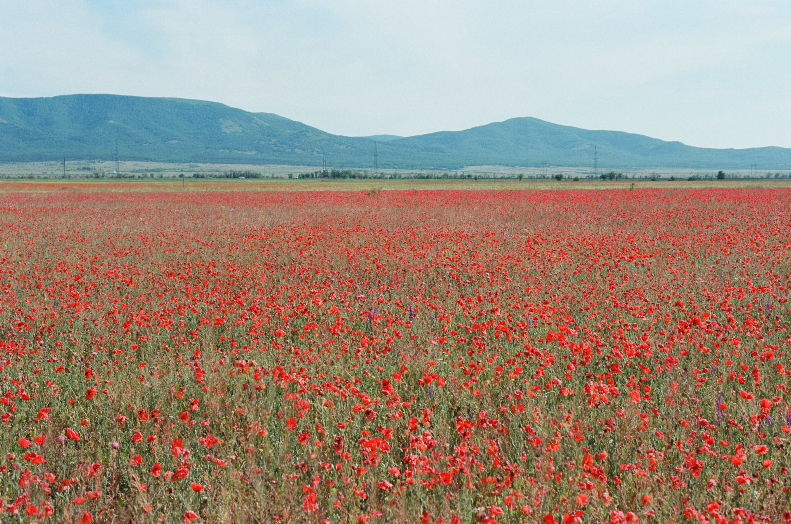 Champagne supernova // ukraine, crimea II. EVER EXPOSED