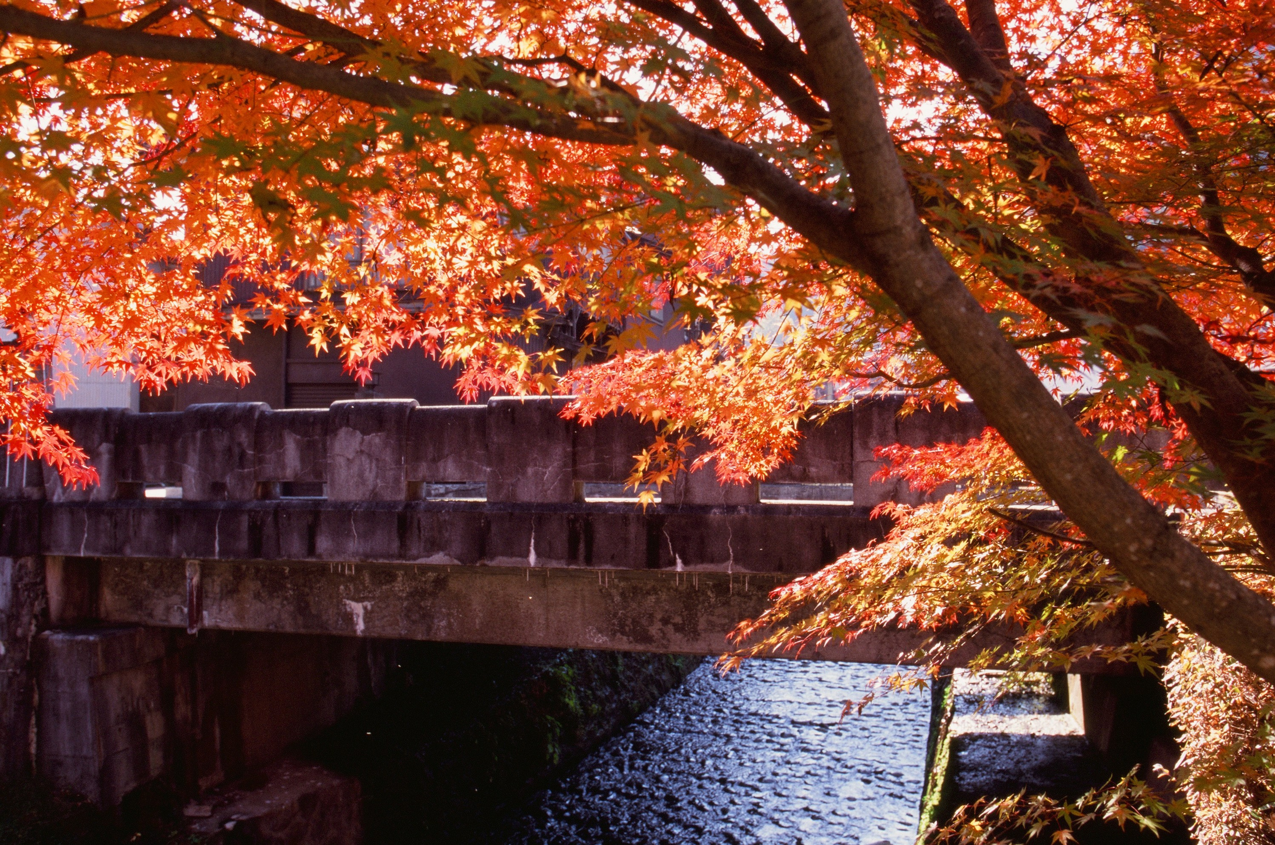 Out of noise // japan, takayama III. EVER EXPOSED