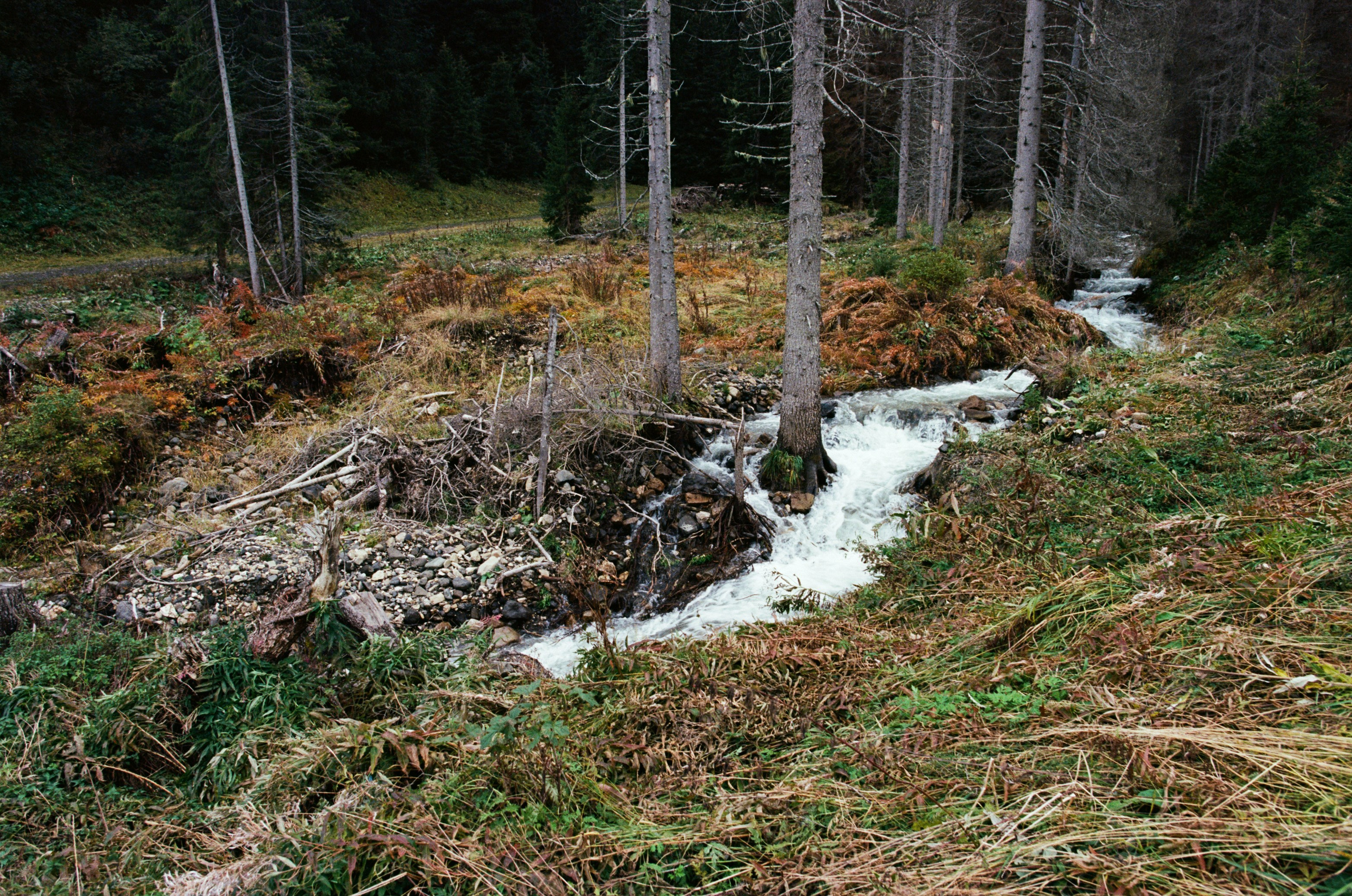 Are you coming // italy, dolomites II. EVER EXPOSED