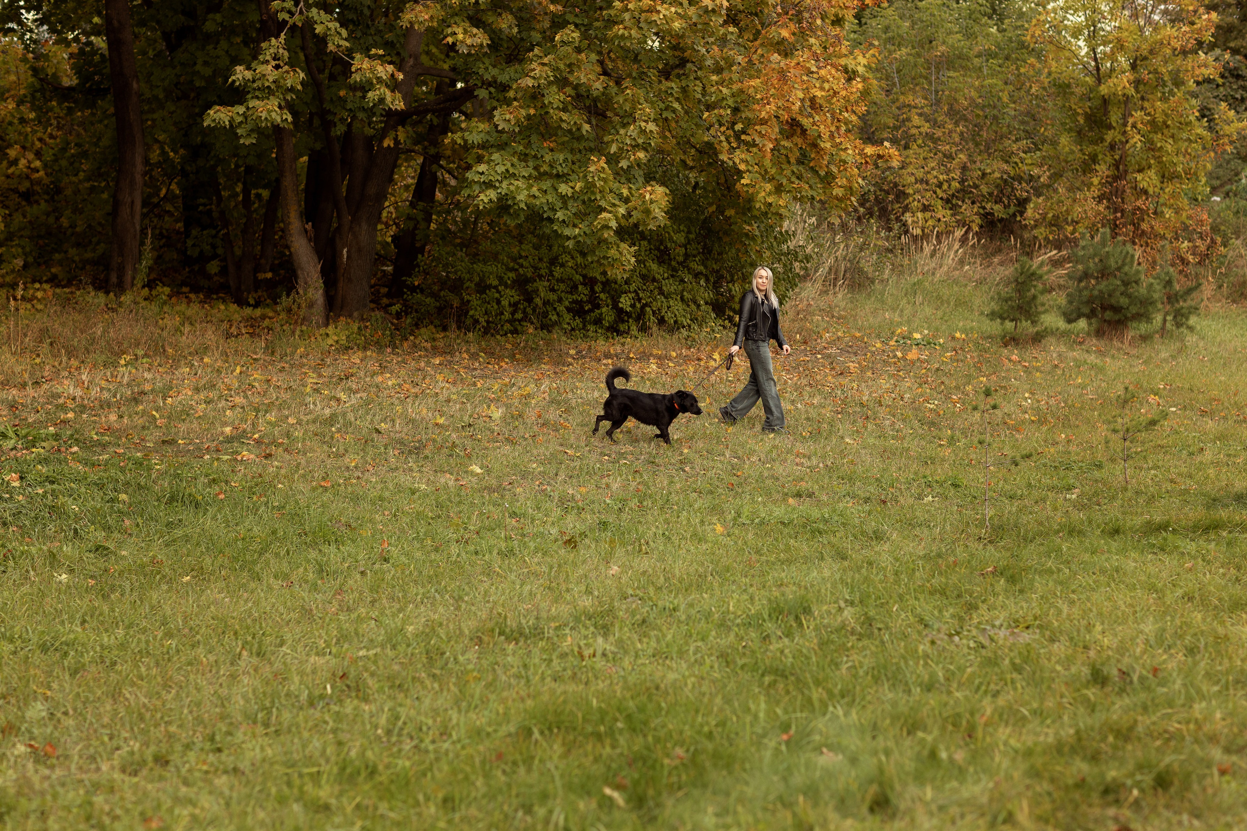 Анастасия и Балу. Фотограф — Анималист Наталья Тямушева