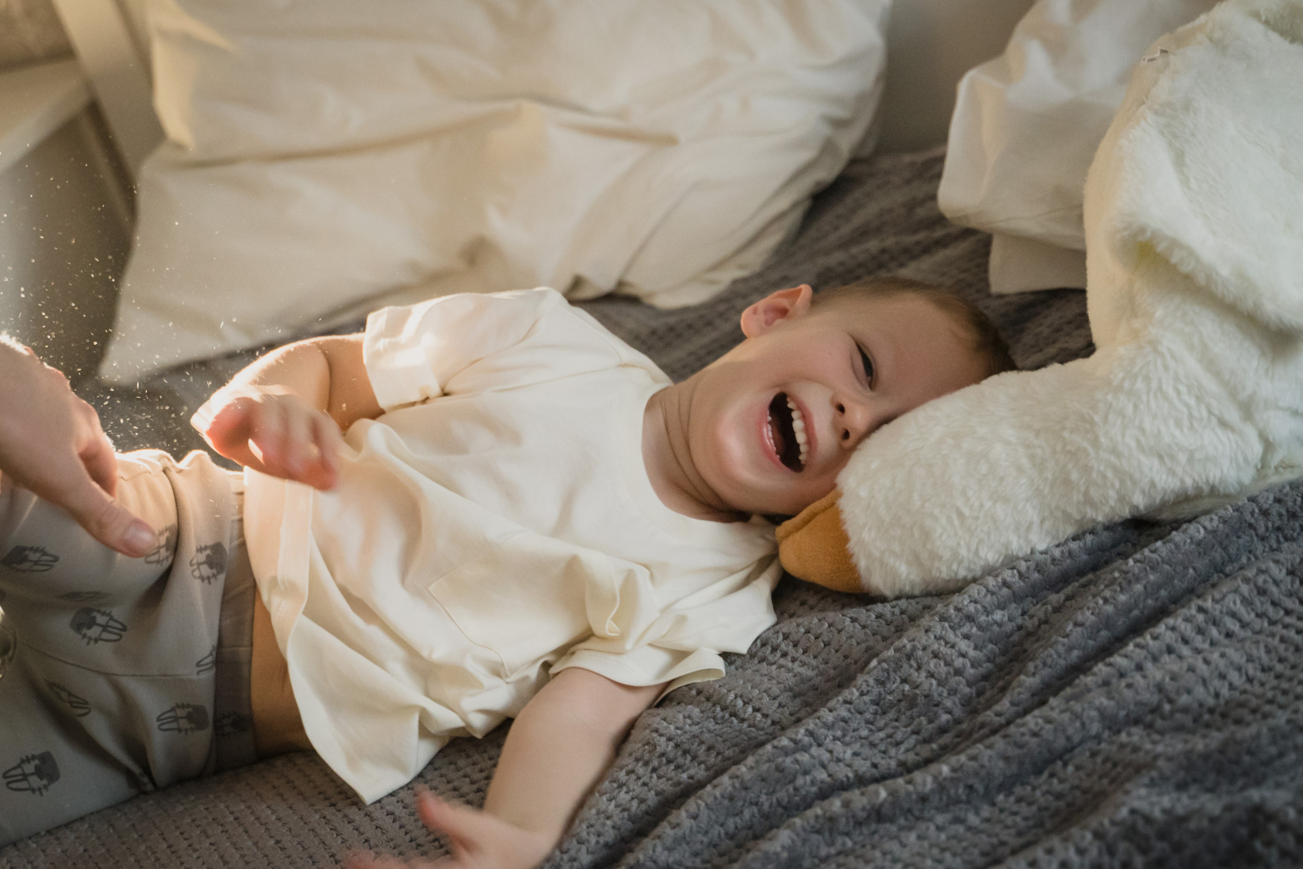 Предновогодний вечер. Главная