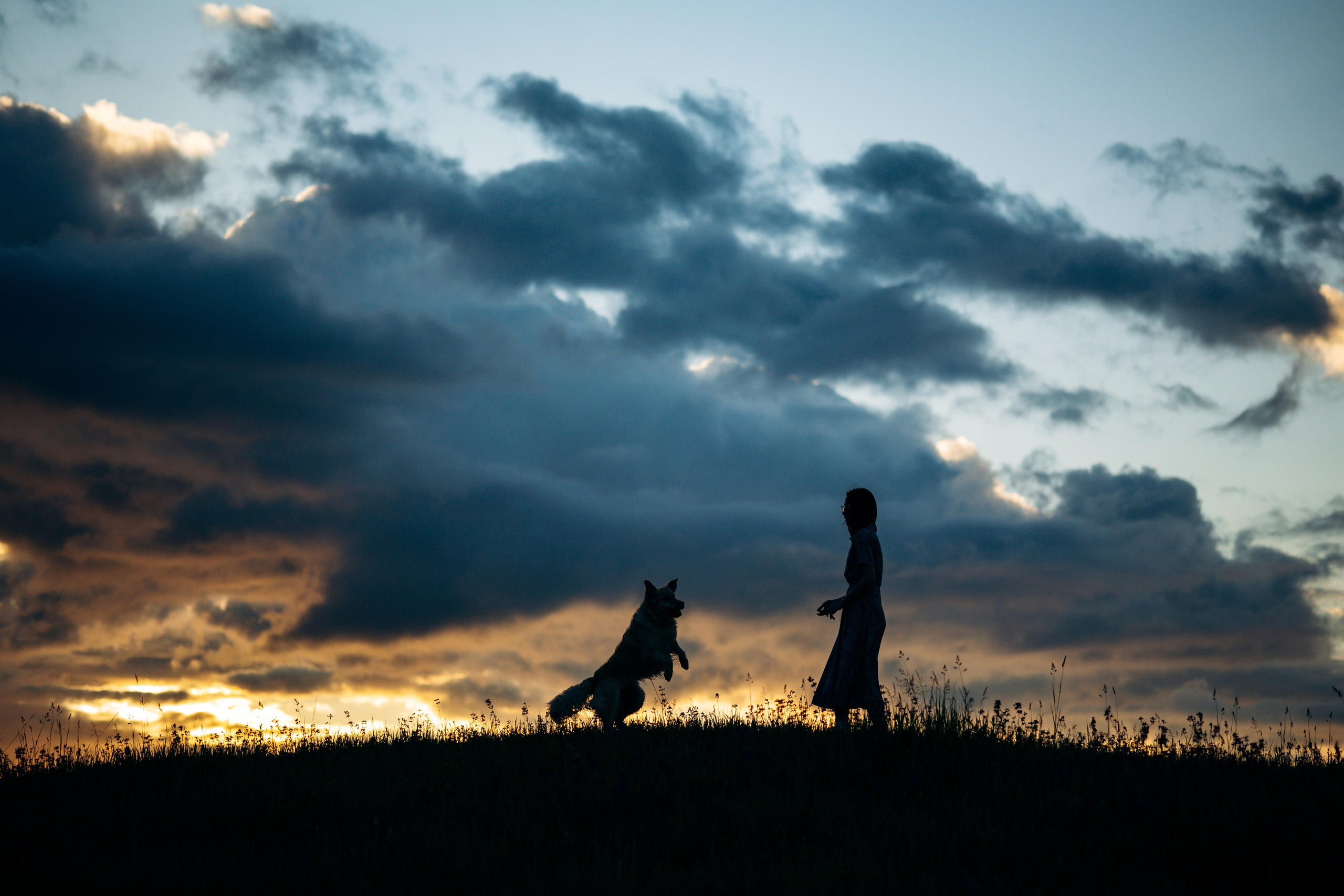 Юля и Руби. Фотограф — Анималист | Санкт-Петербург