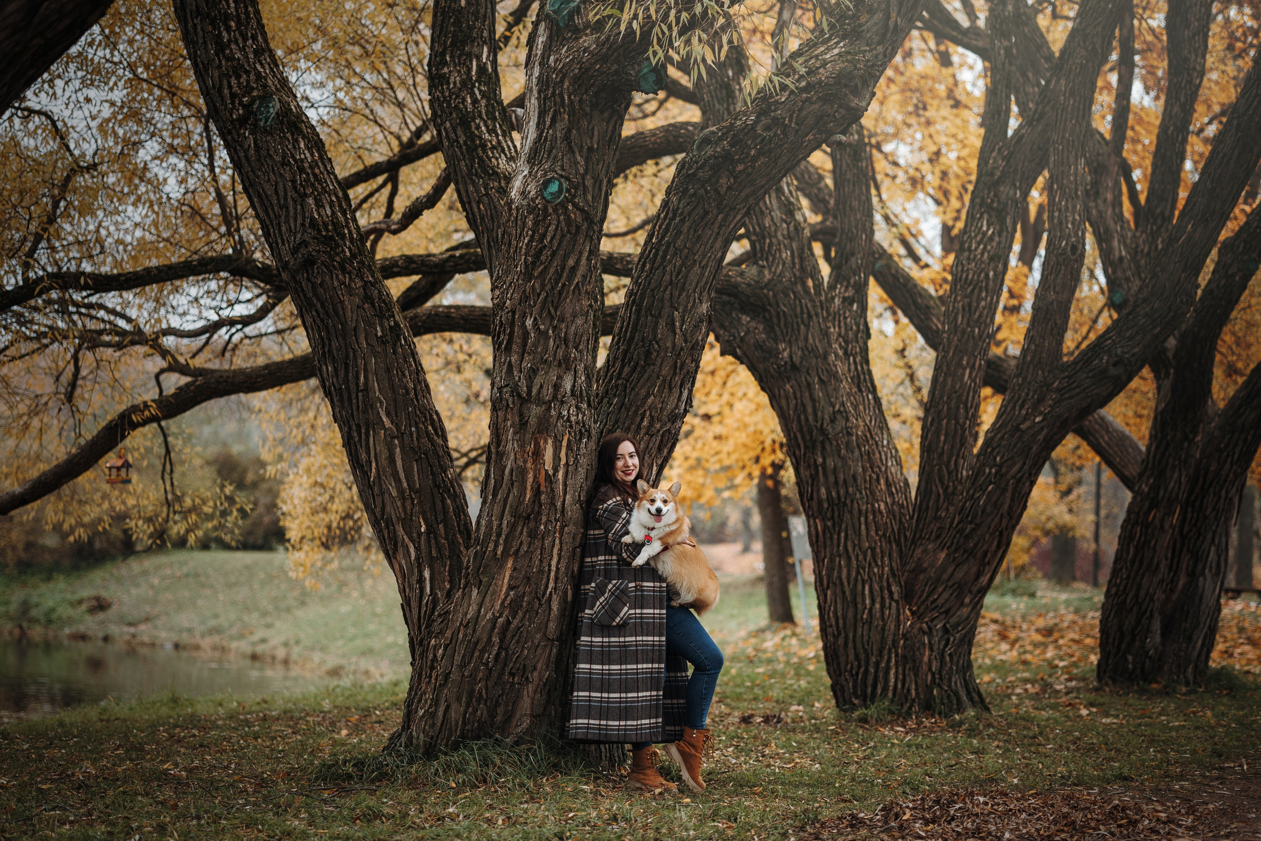 Юля и Терри. Фотограф — Анималист | Санкт-Петербург