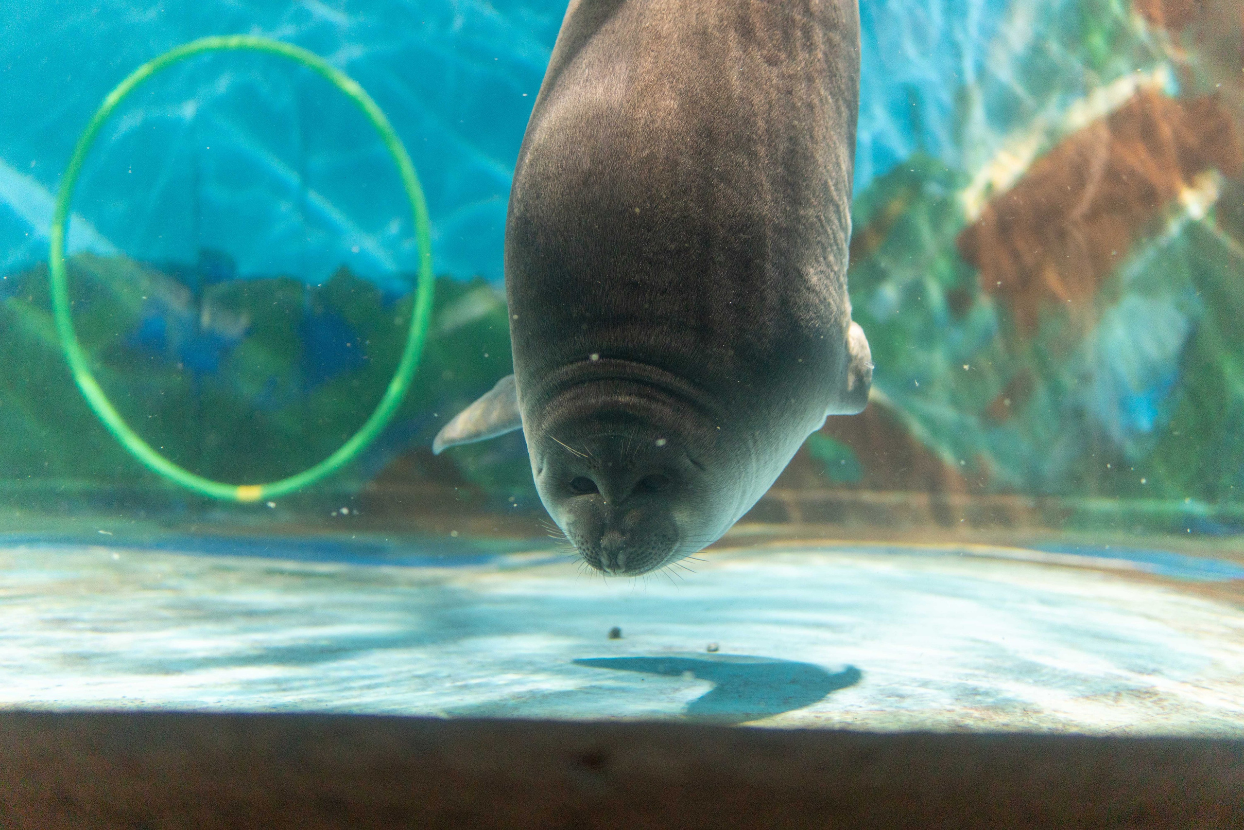 Экскурсия краснодарской делегации. Медиа-портфолио Марии Абрашиной