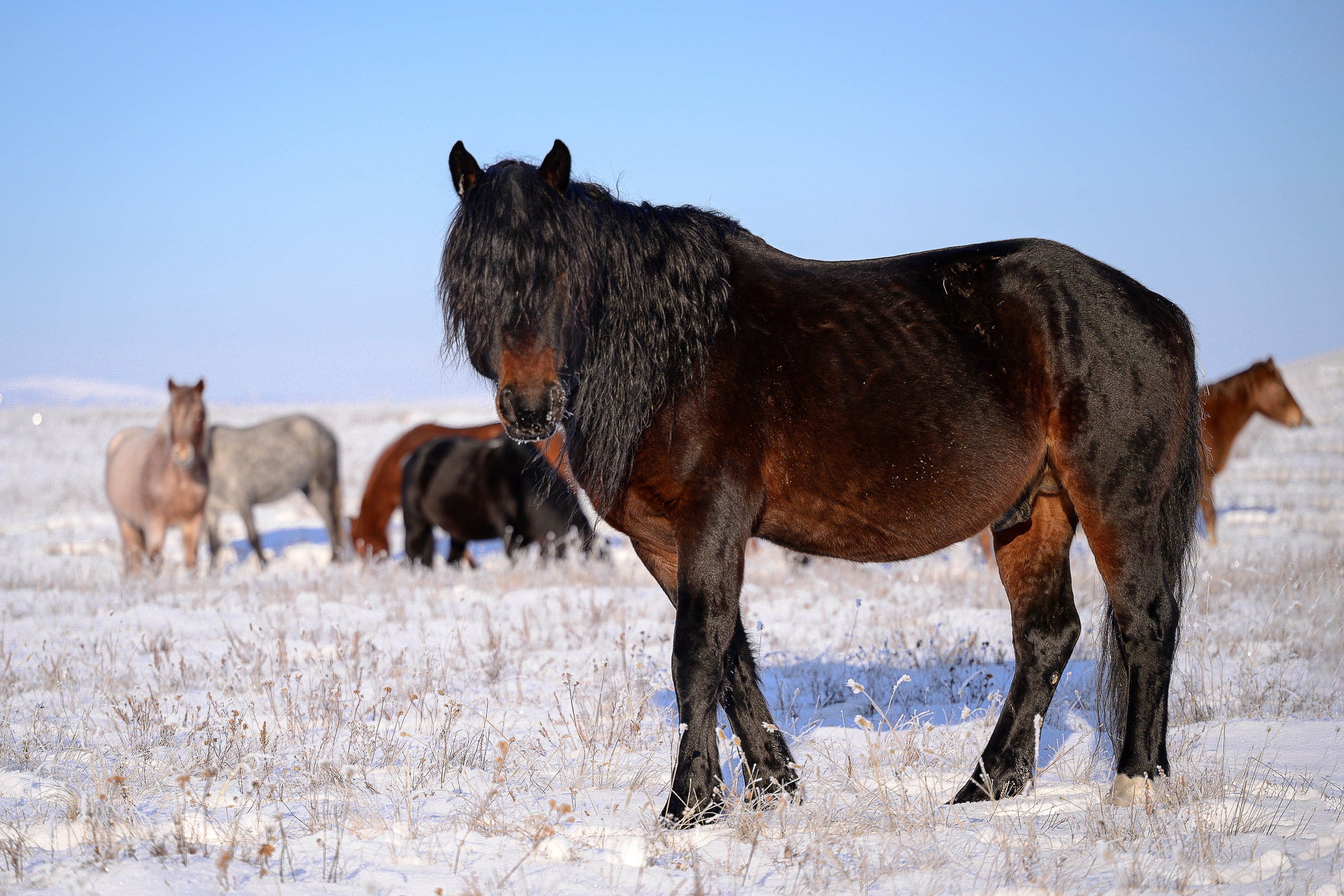 В природе. Портретный фотограф в Челябинске Катерина Руди