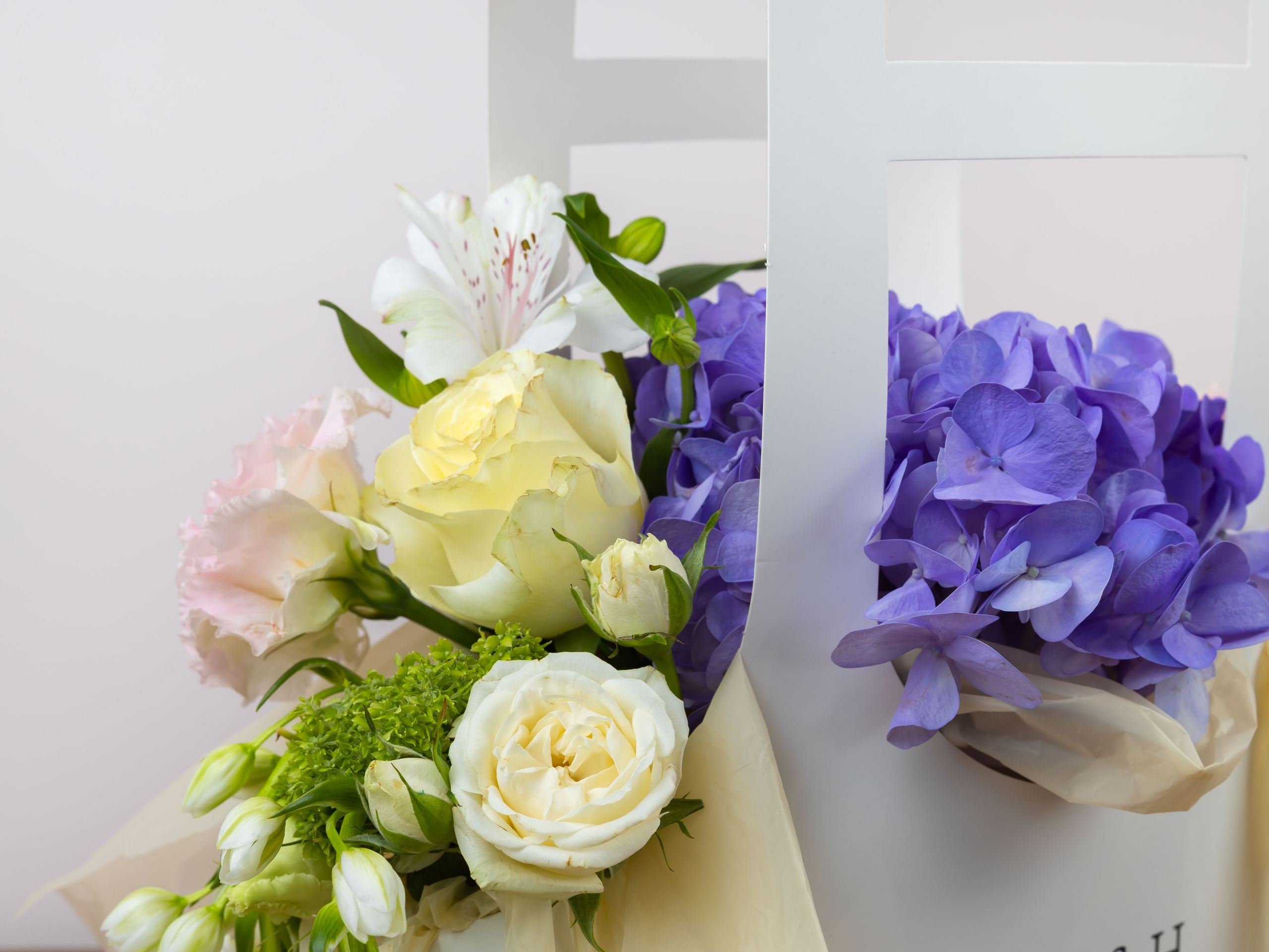 01.08.2025 Фотосессия Цветополис. ФОТОГРАФ ВИНОГРАДОВА ДАРЬЯ