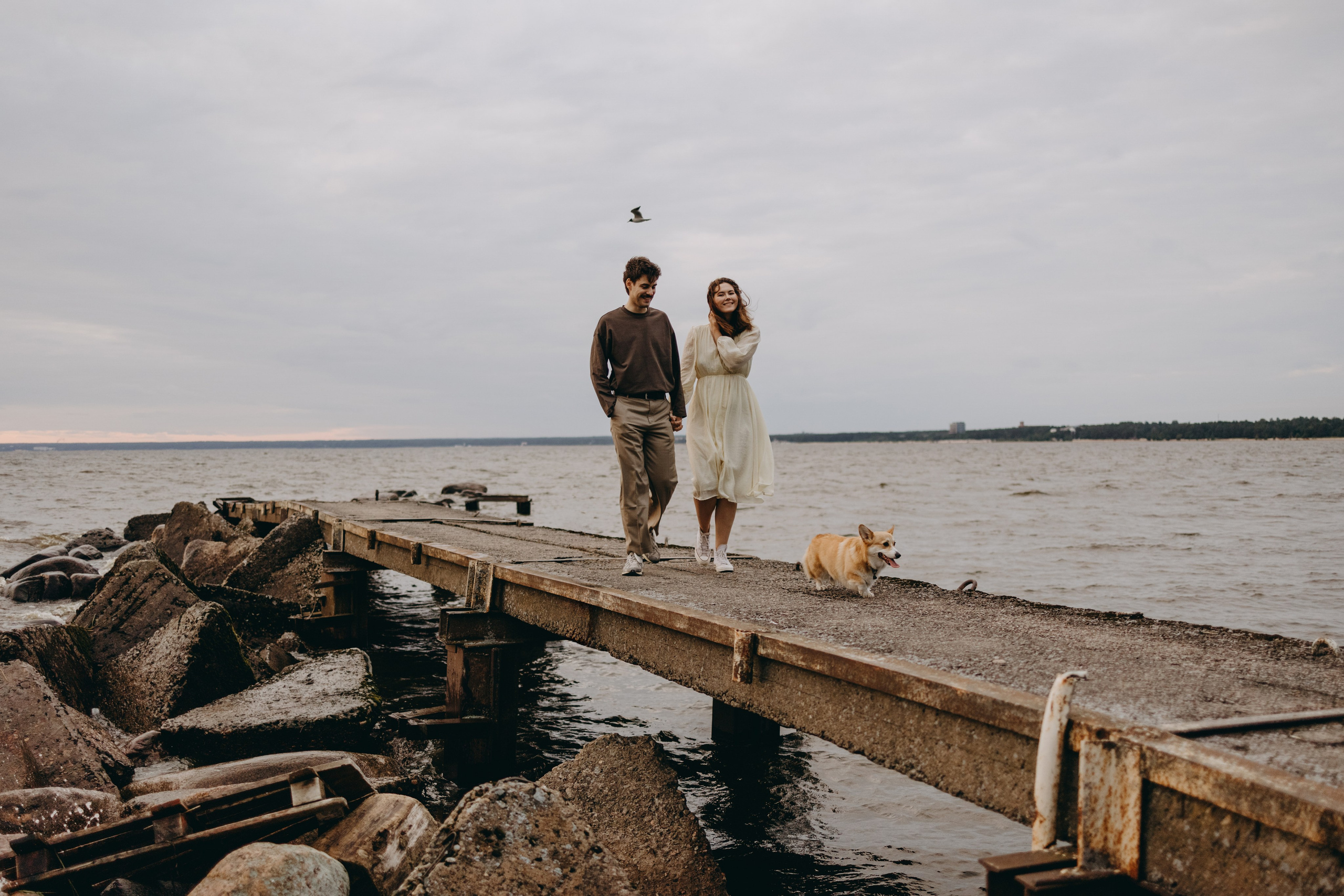 Лотти и ее семья. Фотограф — Анималист | Санкт-Петербург