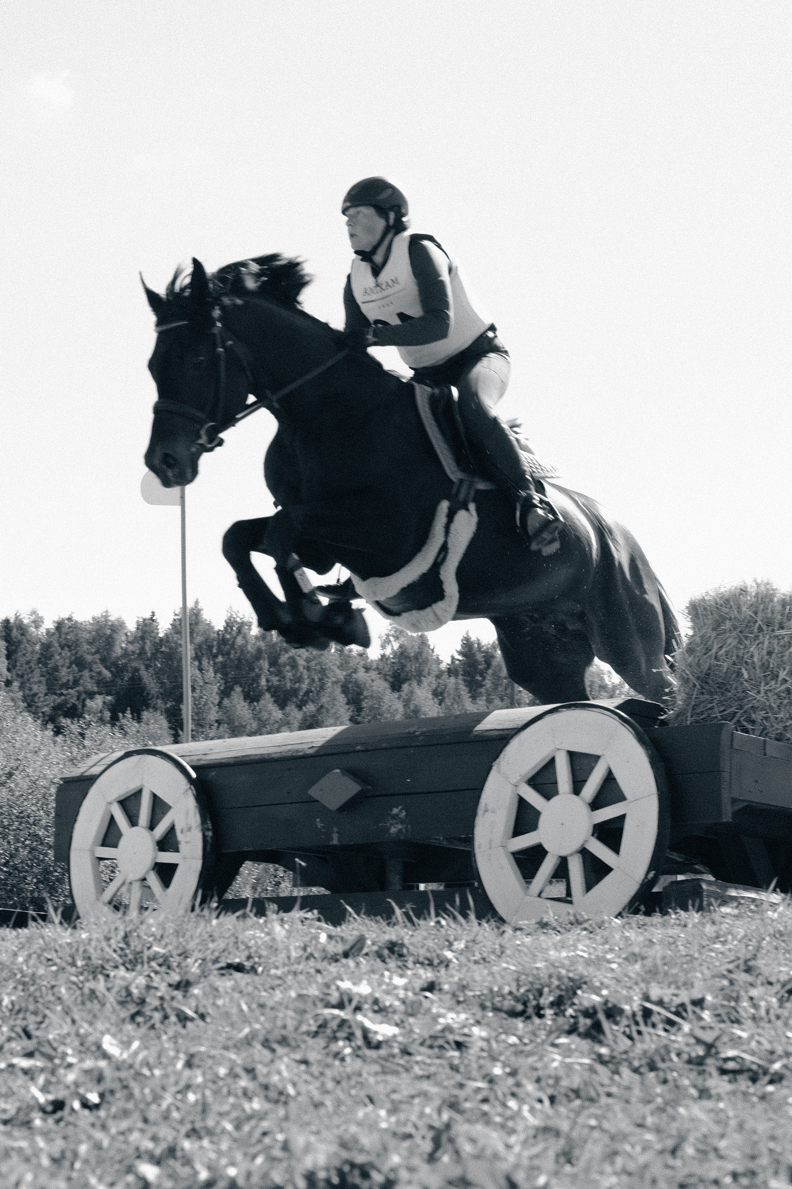 Фотограф Владимир Кононенко