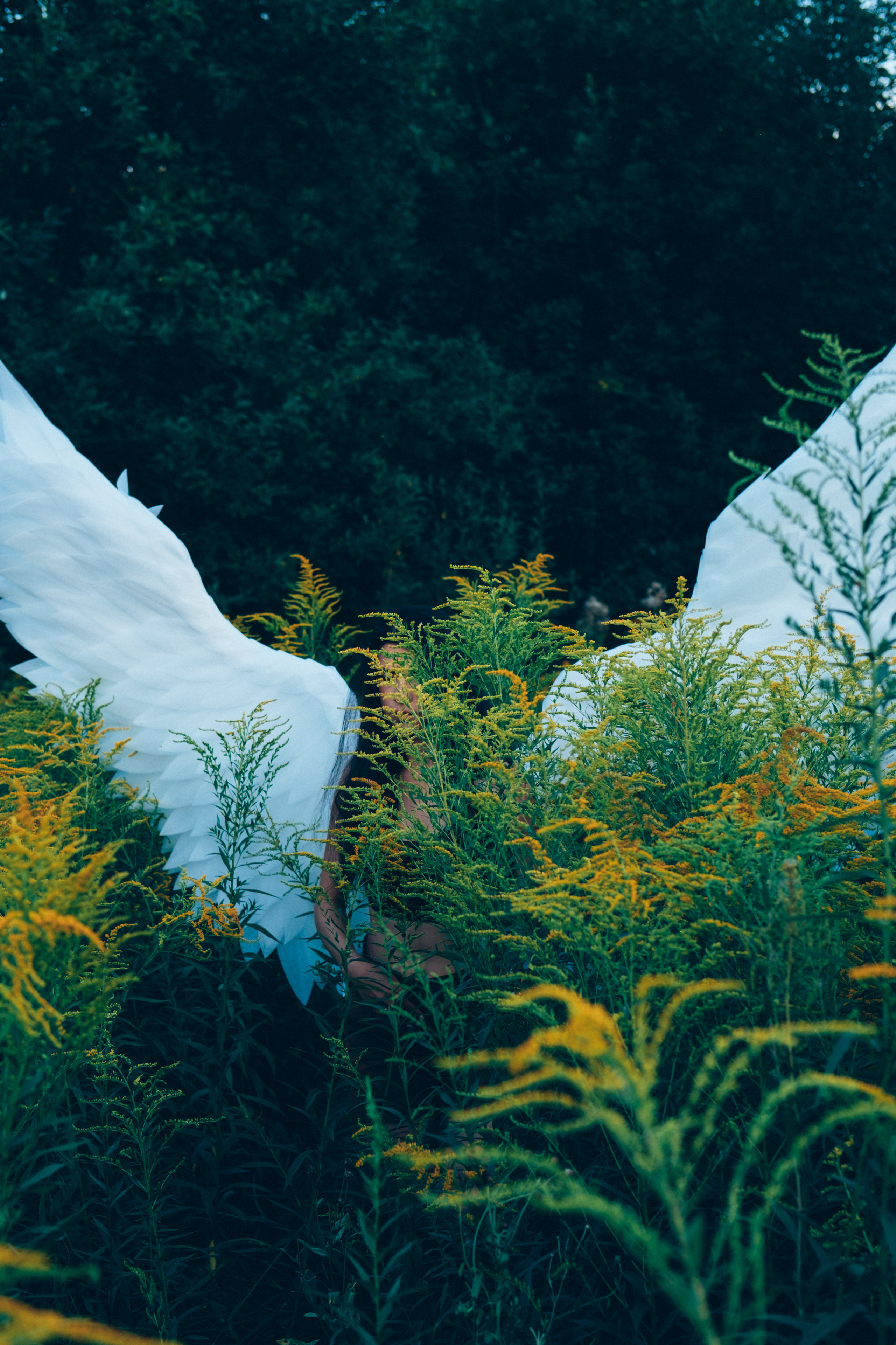 Фотограф Владимир Кононенко