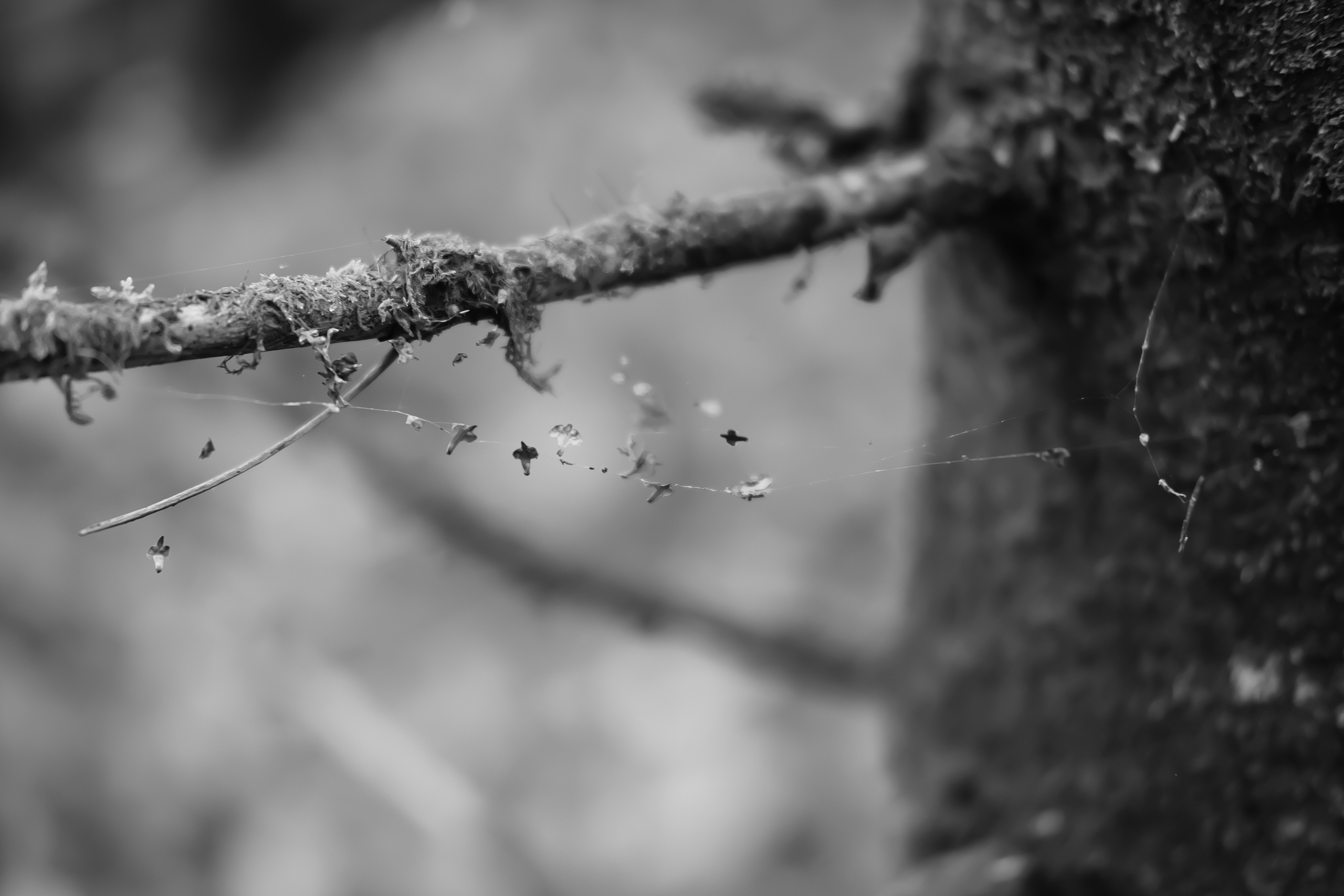 Фотограф Владимир Кононенко