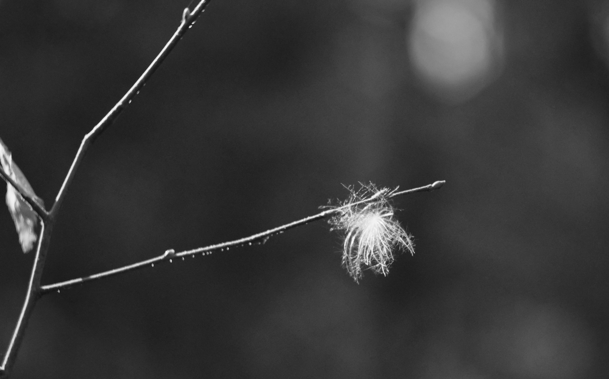 Фотограф Владимир Кононенко