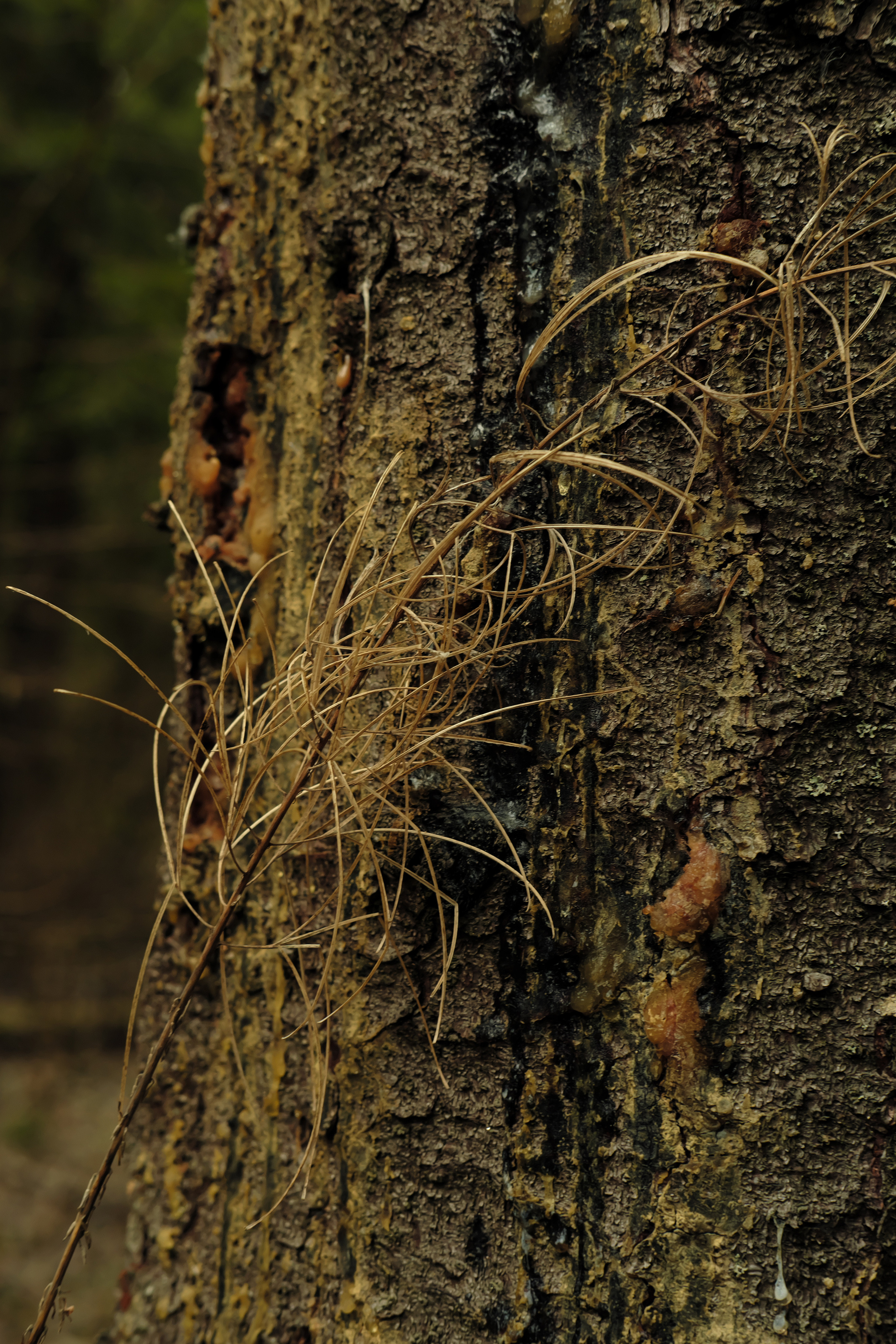 Фотограф Владимир Кононенко