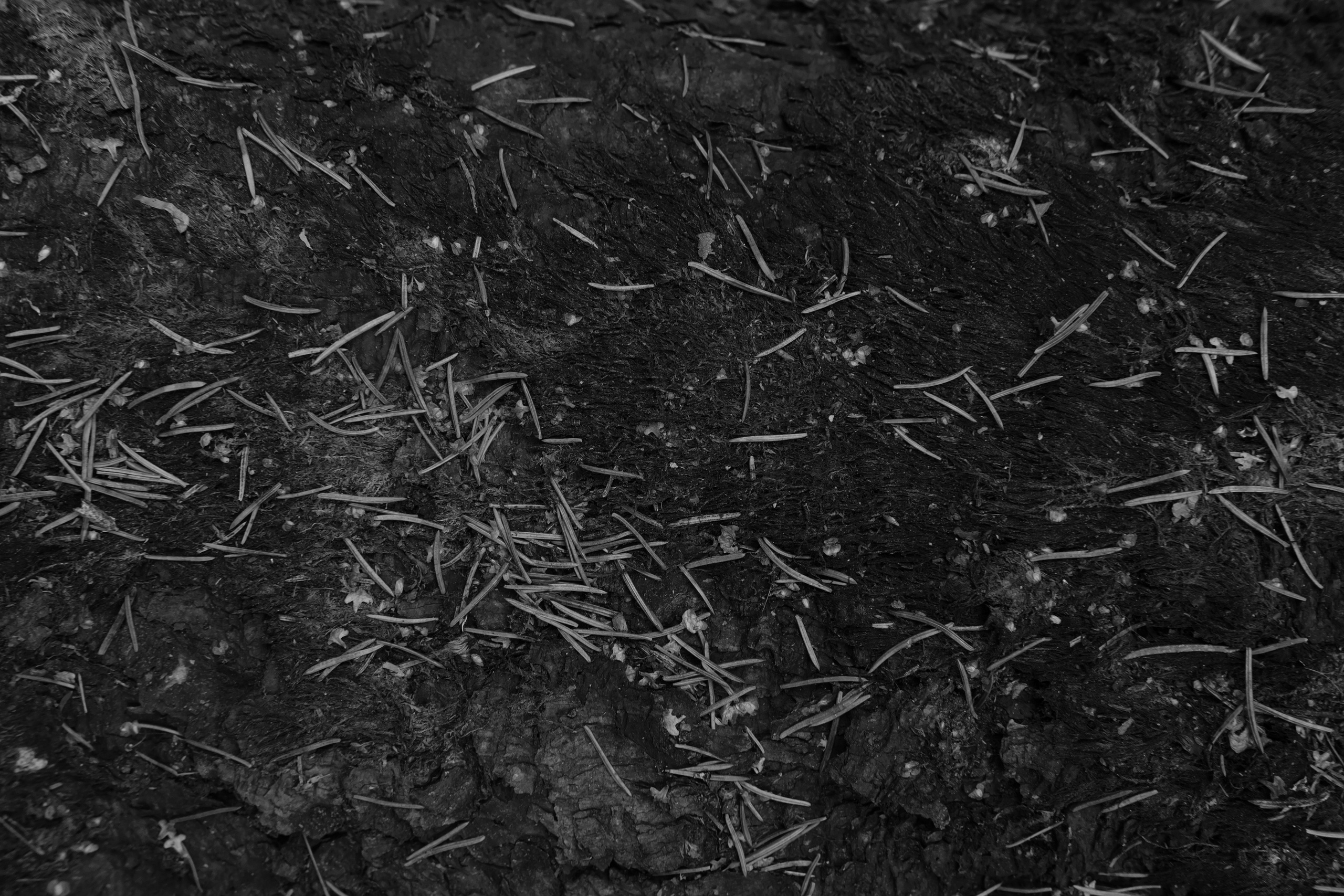 Фотограф Владимир Кононенко