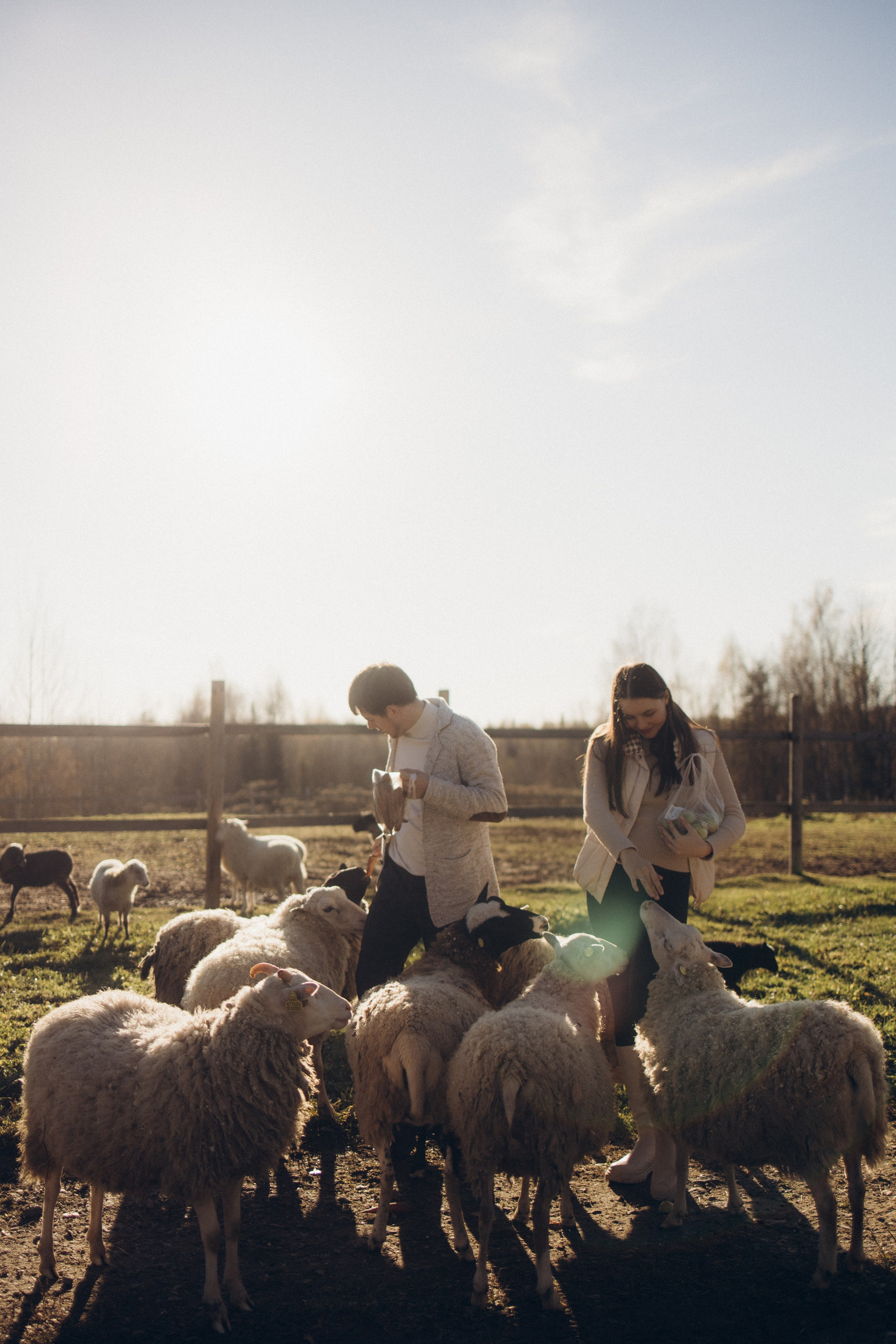 Настя & Аристарх. Ирина Владимирова | Фотограф Санкт-Петербург