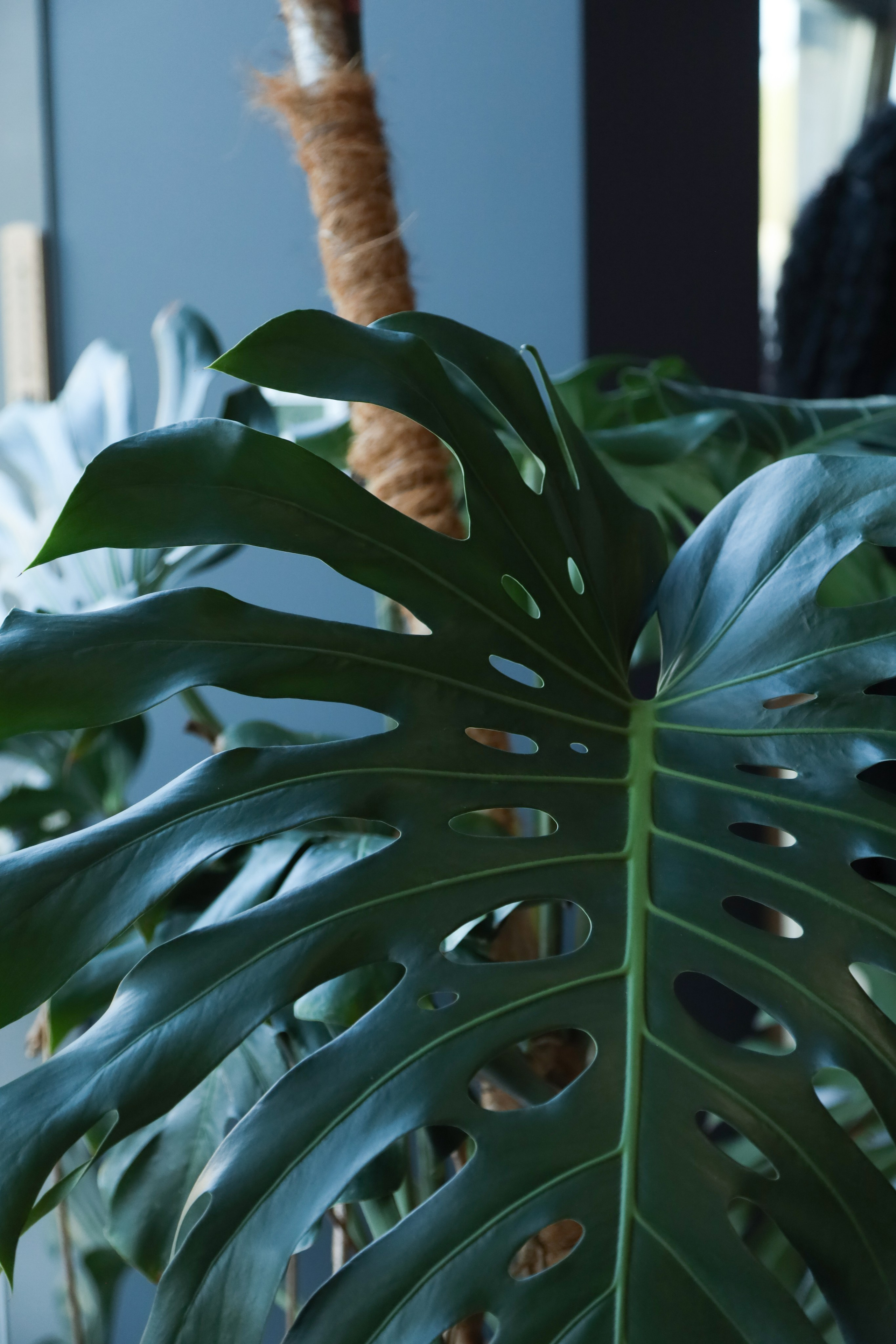 Topprofi. Фотограф Мурманск | Нижний Новгород • Анна Хижняк