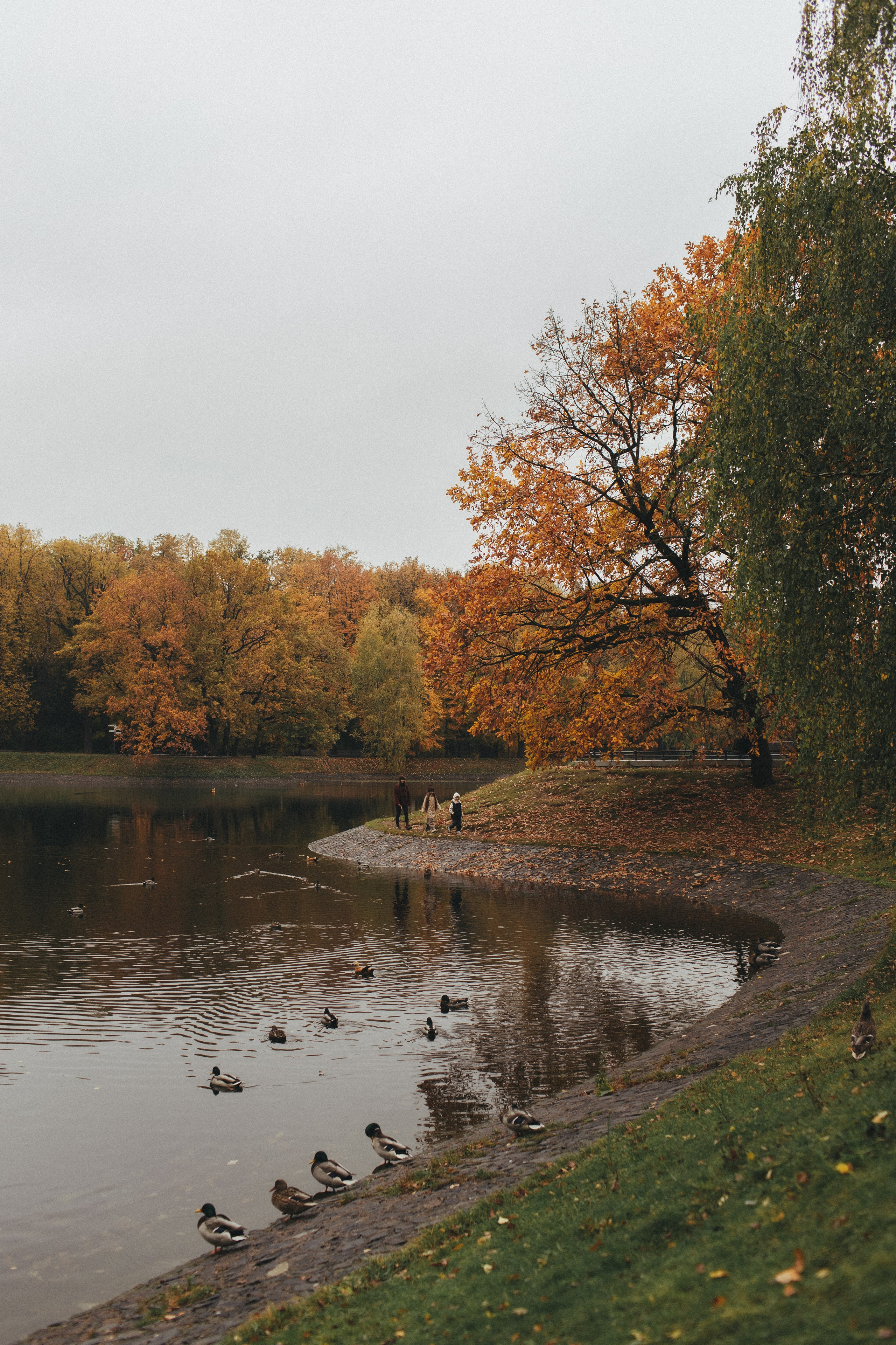 Запомни этот миг. Семейный фотограф в Москве