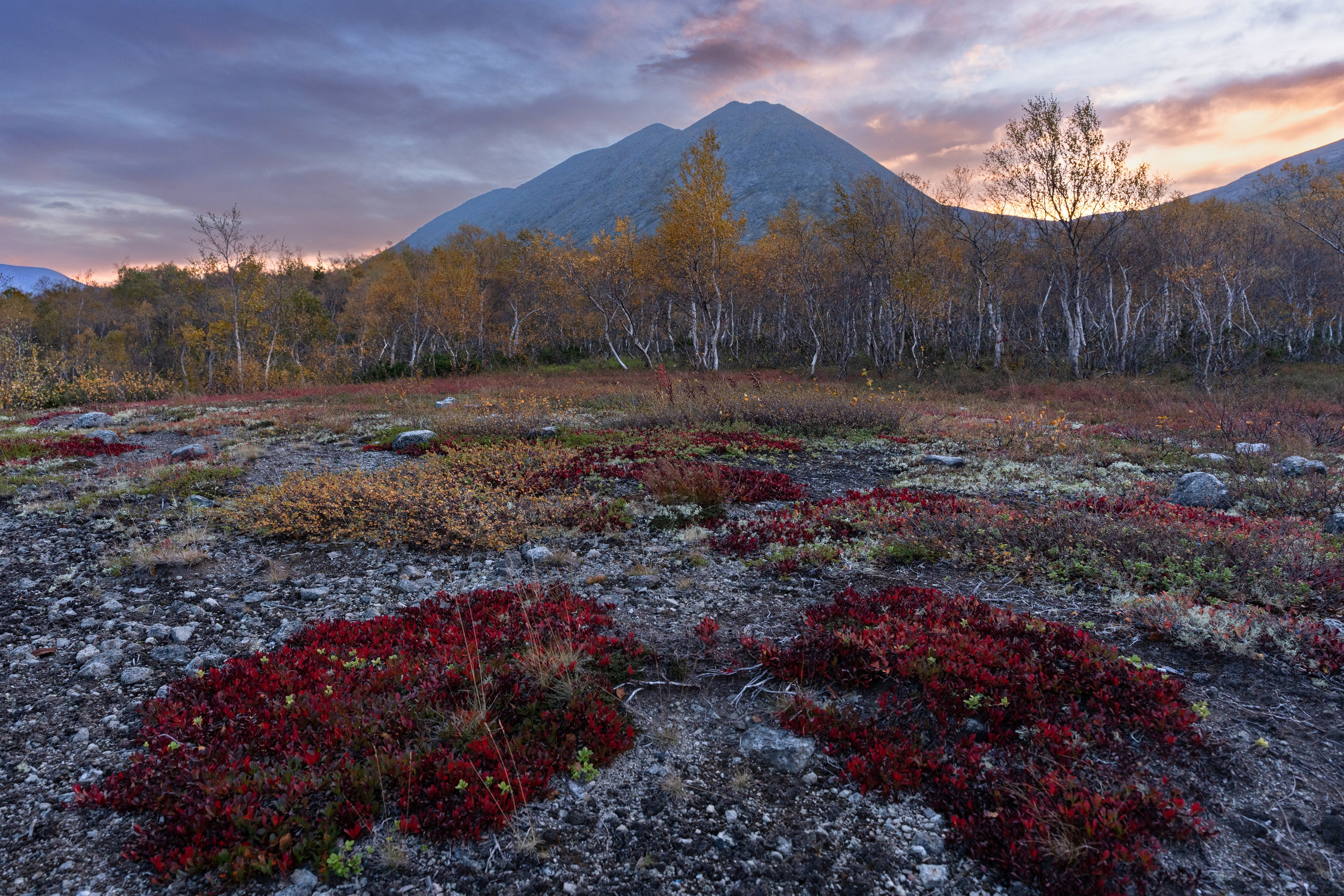 Пейзаж от Ольги Пановой. Интерьерный и архитектурный фотограф в Москве Панова Ольга