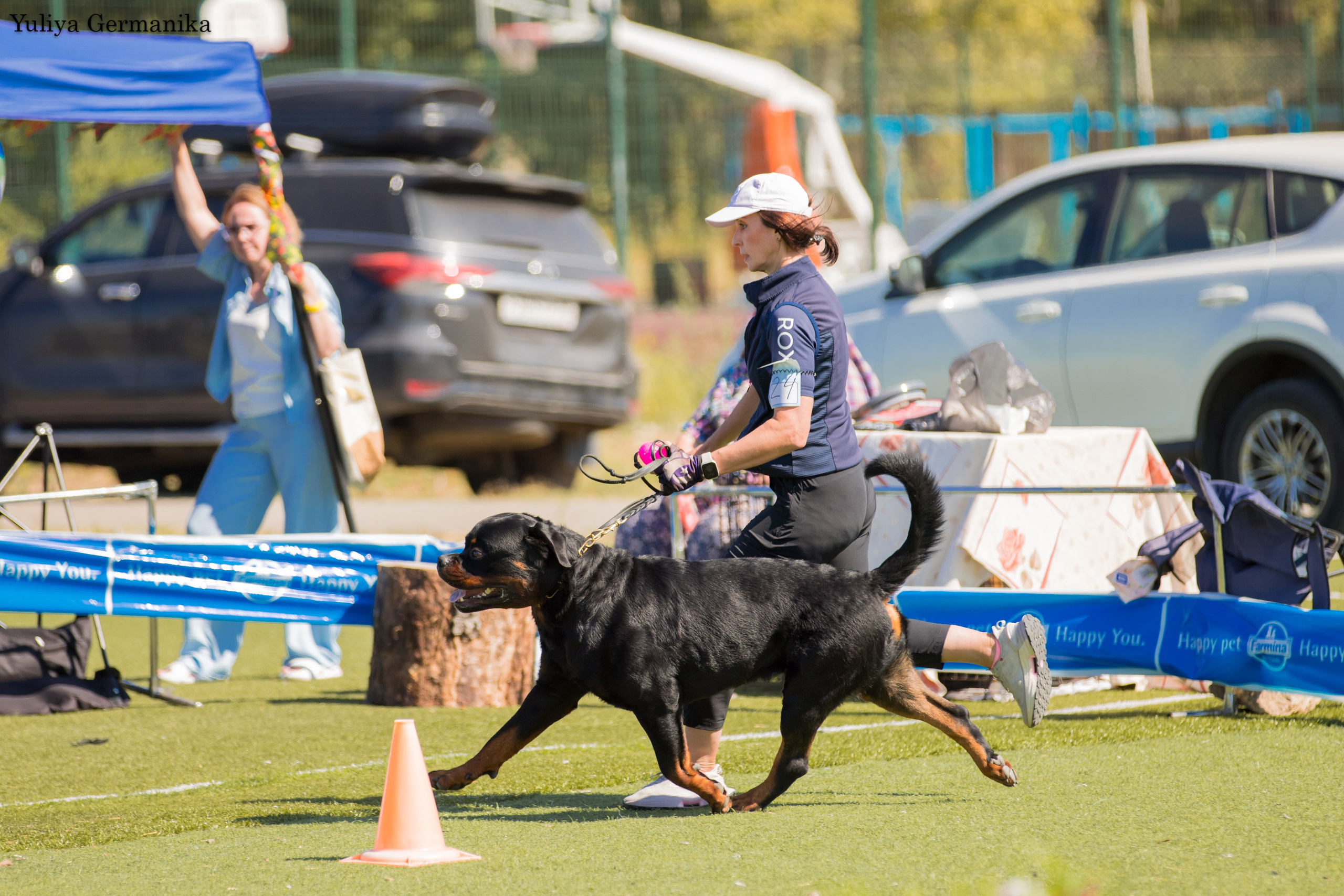 Анапа 16-17.09.2023 моно ротвейлеров. Фотограф-анималист Юлия Германика