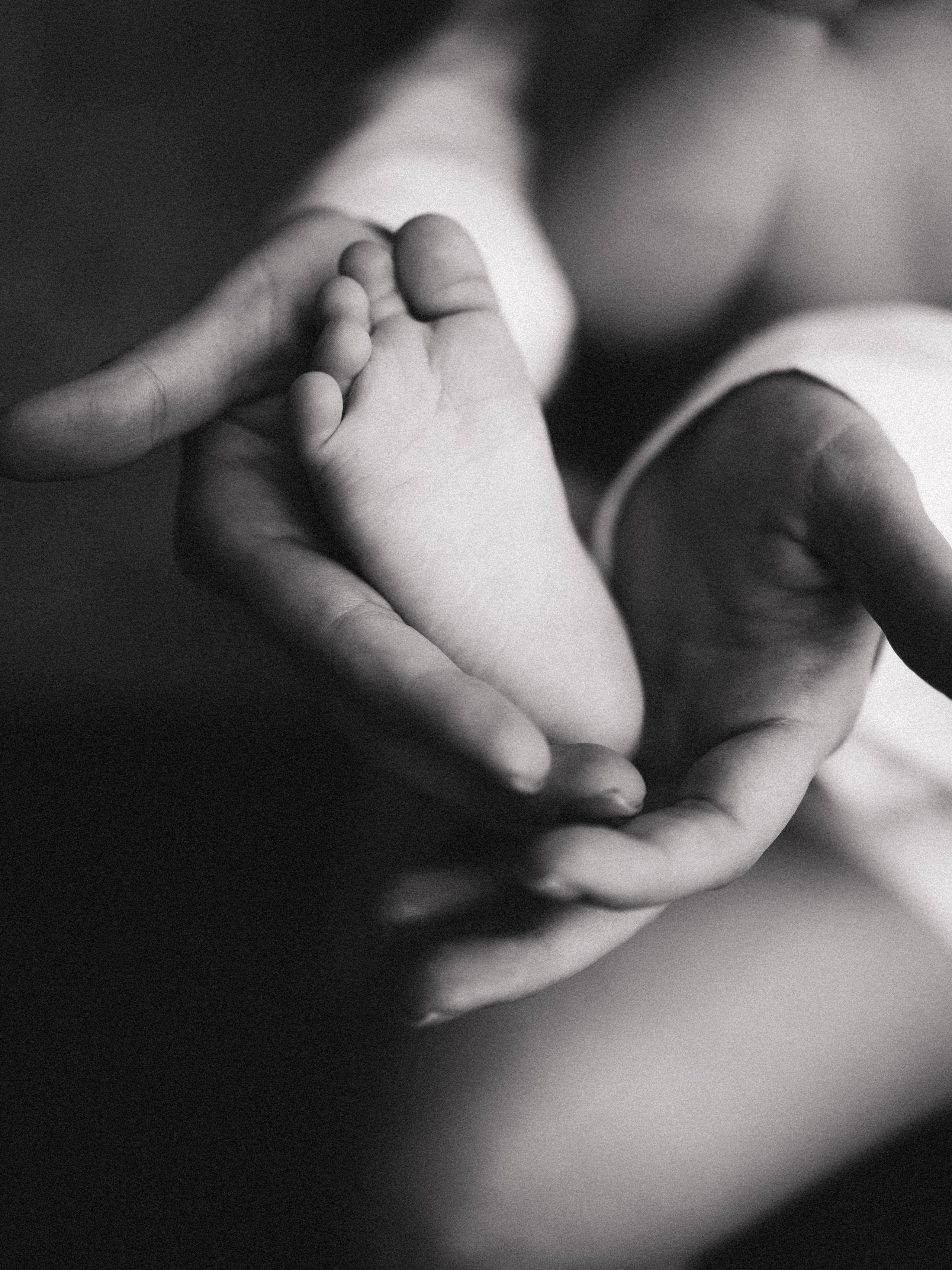 Карина и Фёдор — зал Дача. Семейный фотограф в Краснодаре Храмова Анна