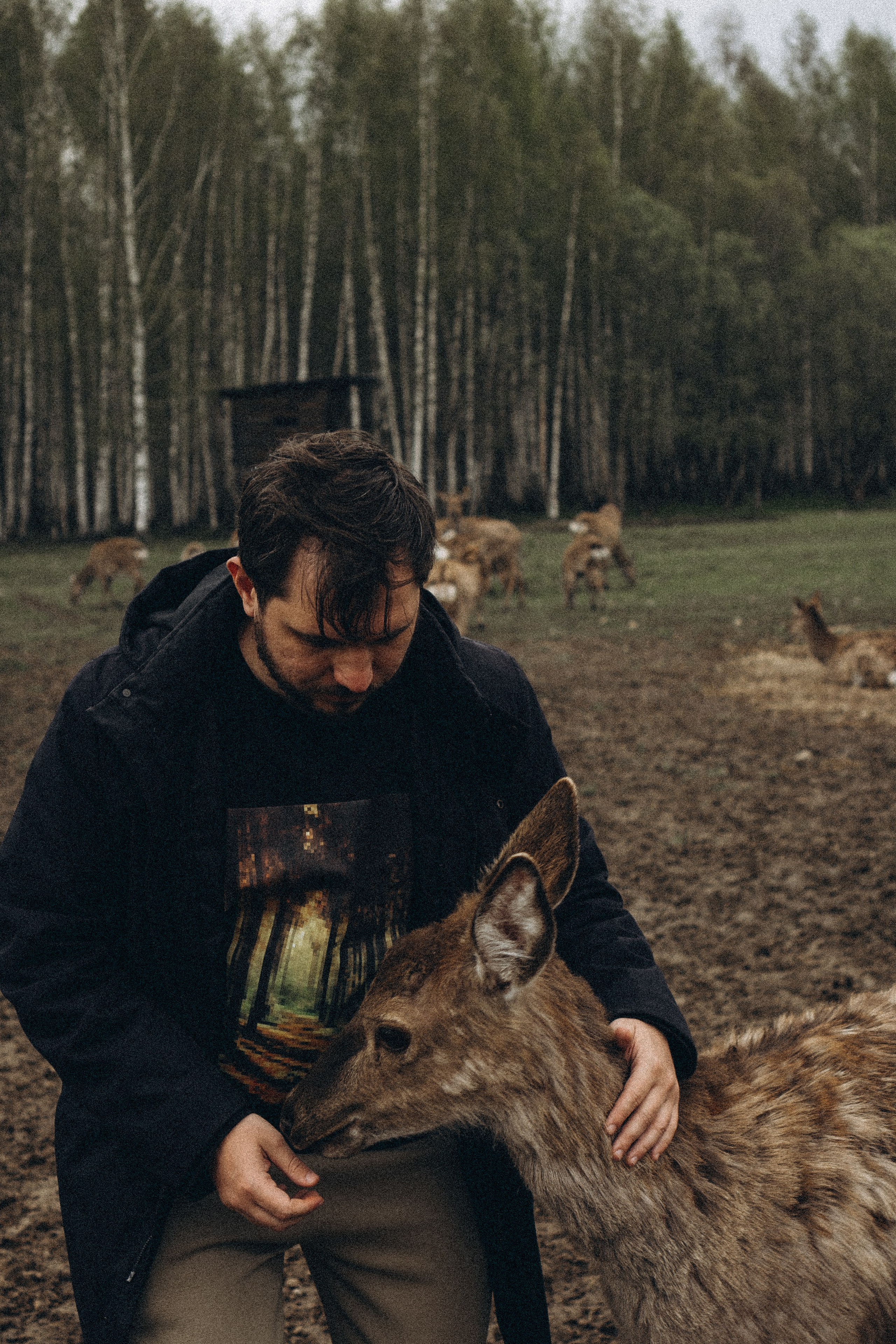 ОЛЕНЬЯ ФЕРМА В ТВЕРИ. Профессиональный фотограф, Санкт-Петербург — Виктория Богомолова