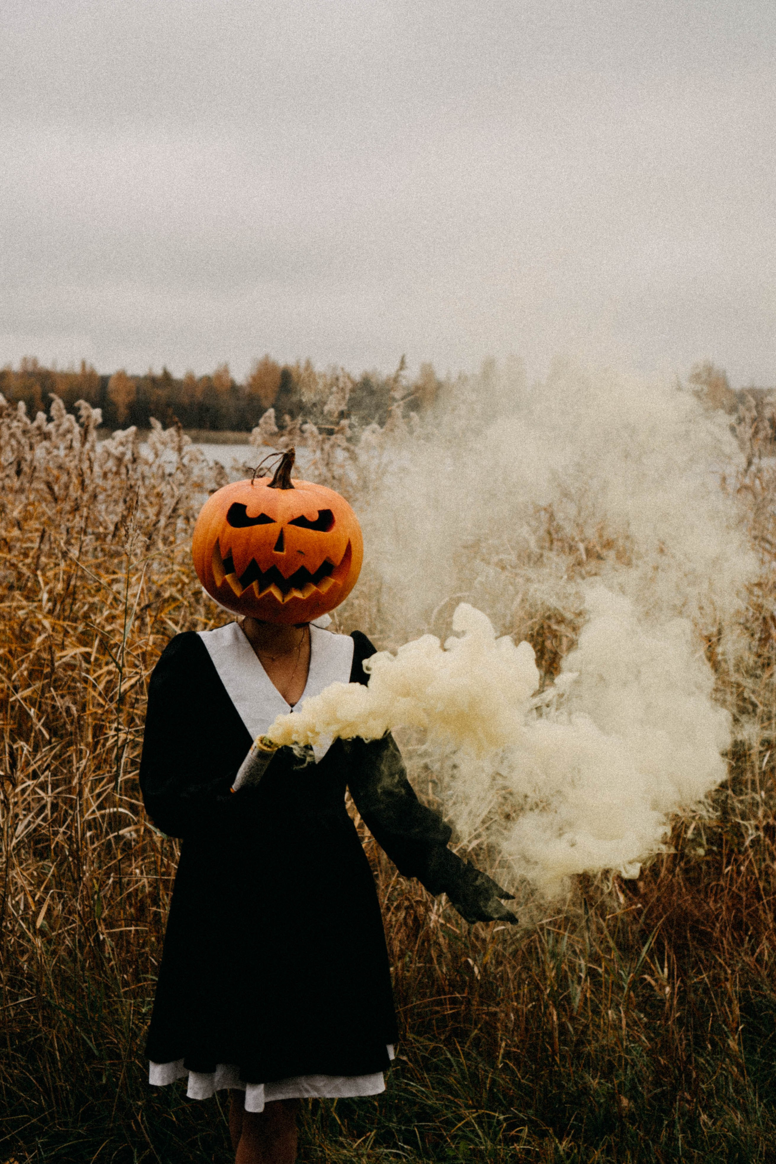 Осеняя. Профессиональный фотограф, Санкт-Петербург — Виктория Богомолова