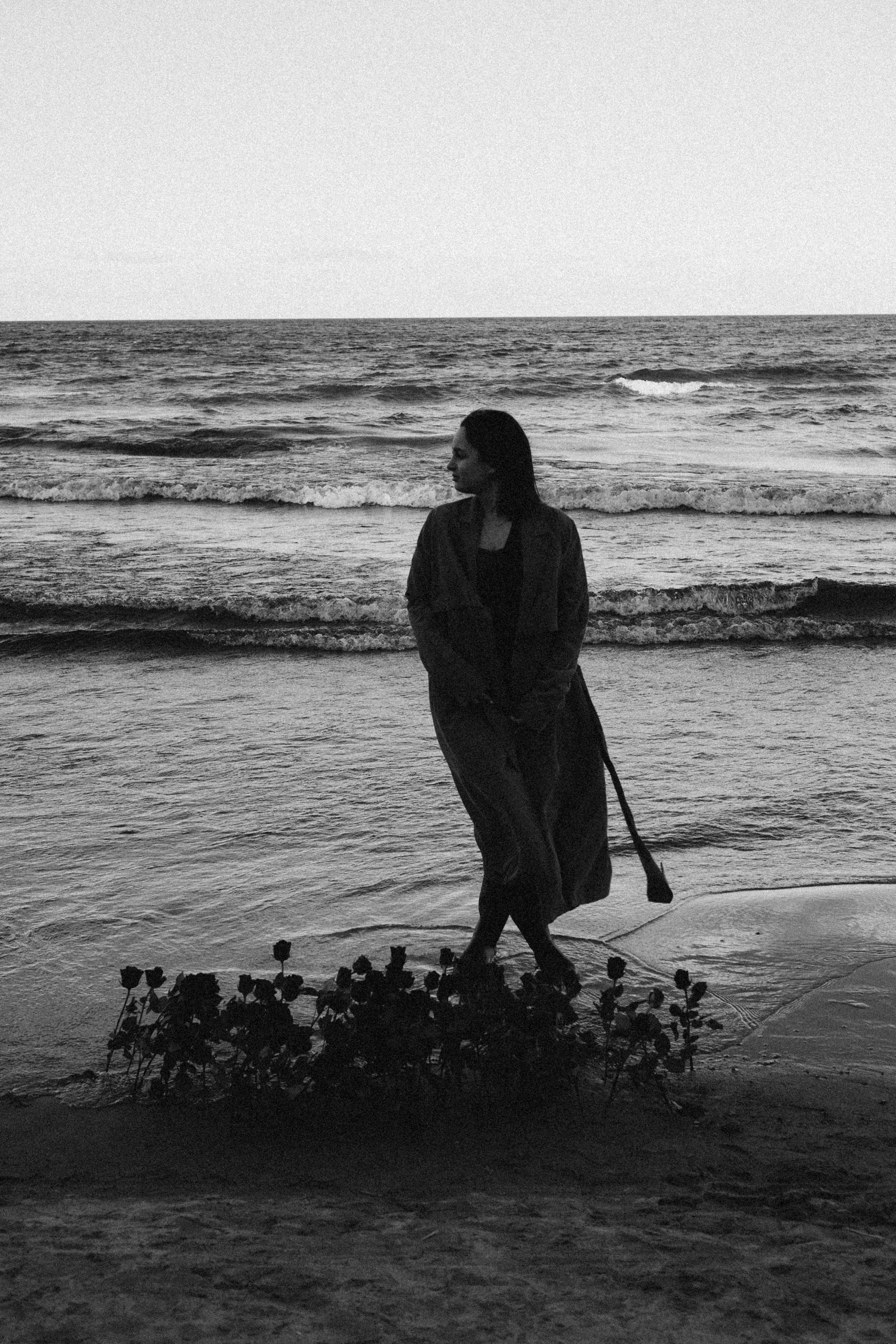 Розы. Профессиональный фотограф, Санкт-Петербург — Виктория Богомолова