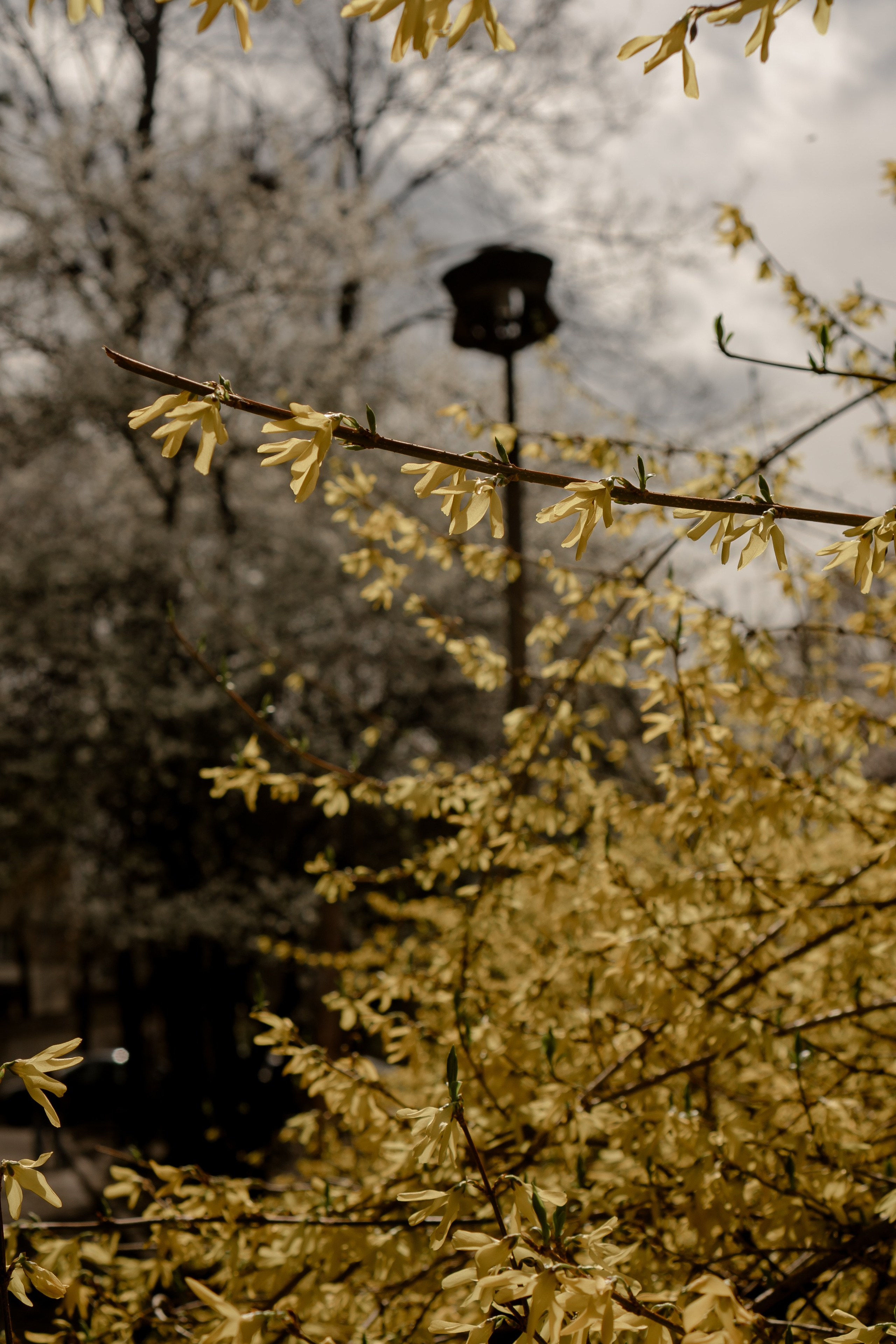ПЯТИГОРСК. Профессиональный фотограф, Санкт-Петербург — Виктория Богомолова