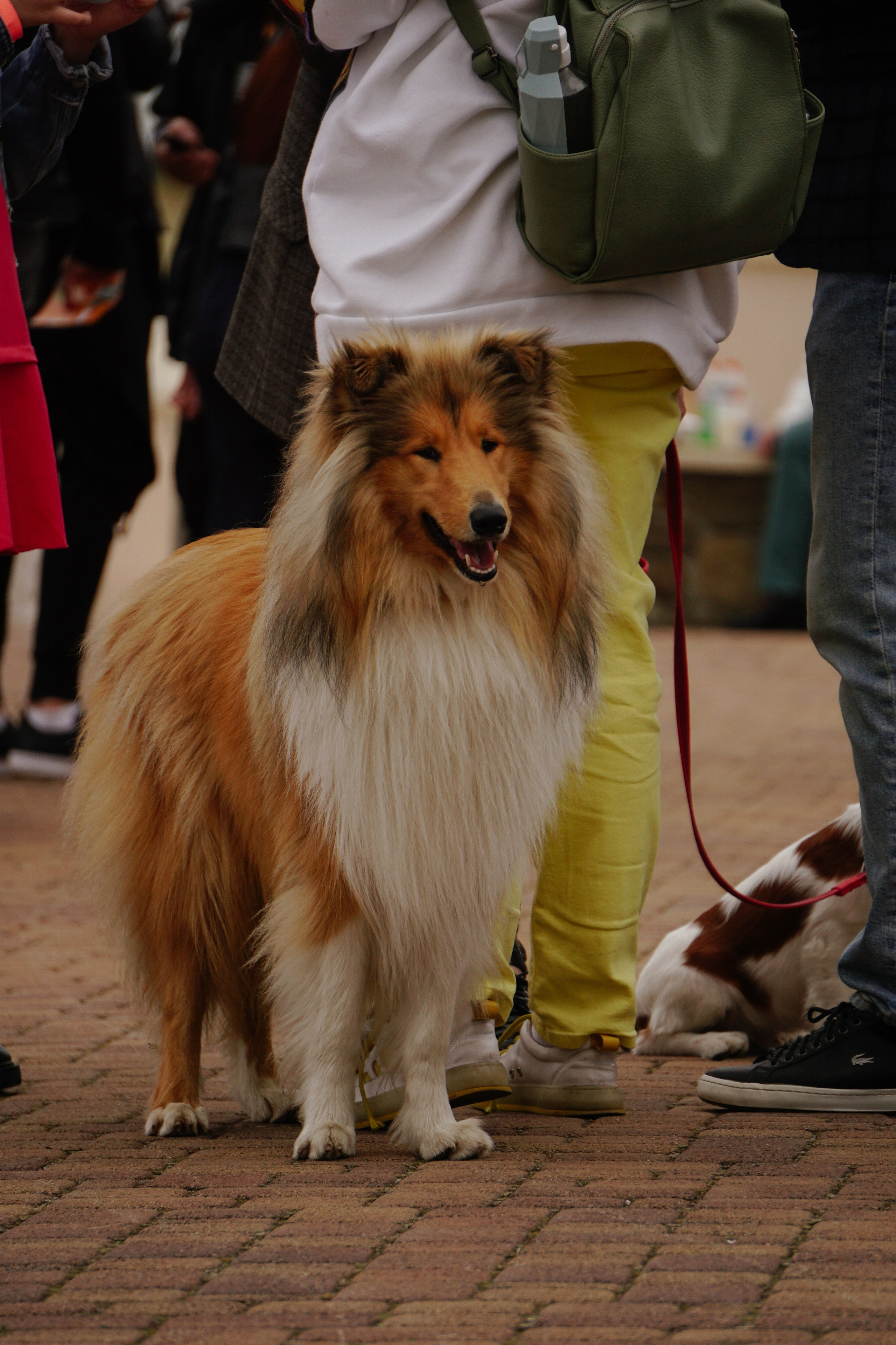 Бакс Бани FEST 2023 г. Фотограф в Новороссийске Алёна Сватко