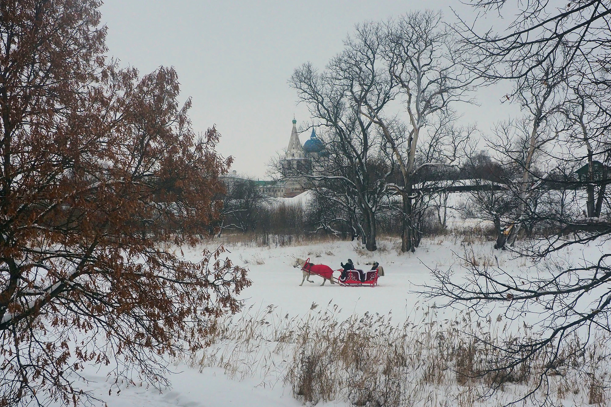 Зима. Московский фотограф Дмитрий Потапов