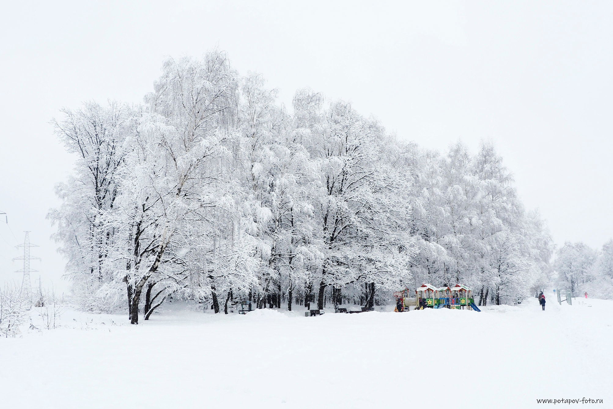 Зима. Московский фотограф Дмитрий Потапов