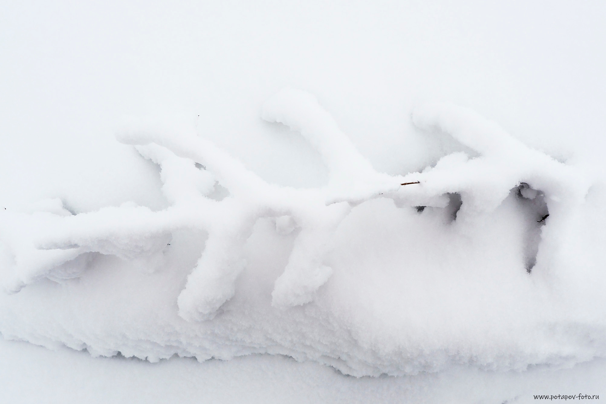 Зима. Московский фотограф Дмитрий Потапов