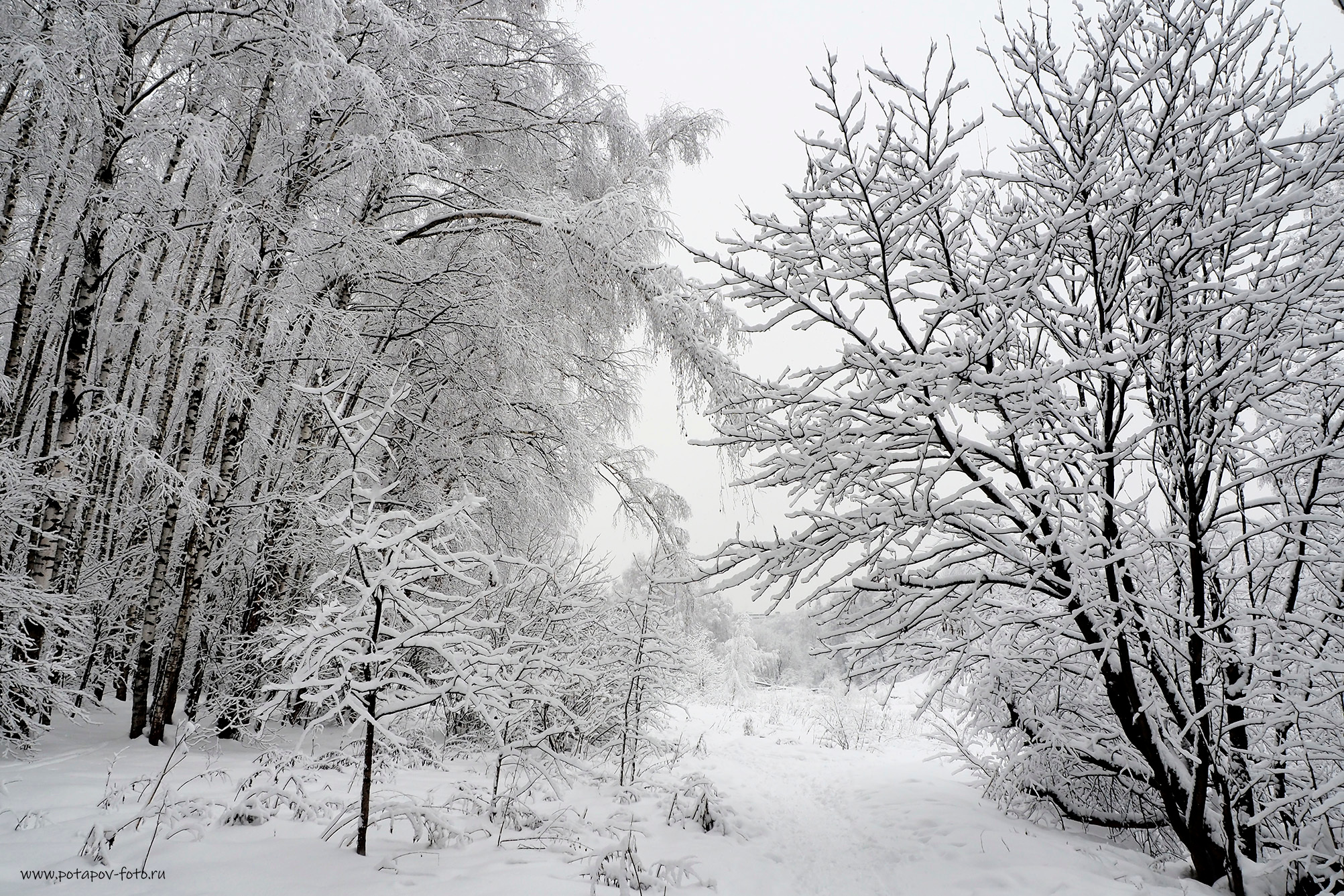 Зима. Московский фотограф Дмитрий Потапов