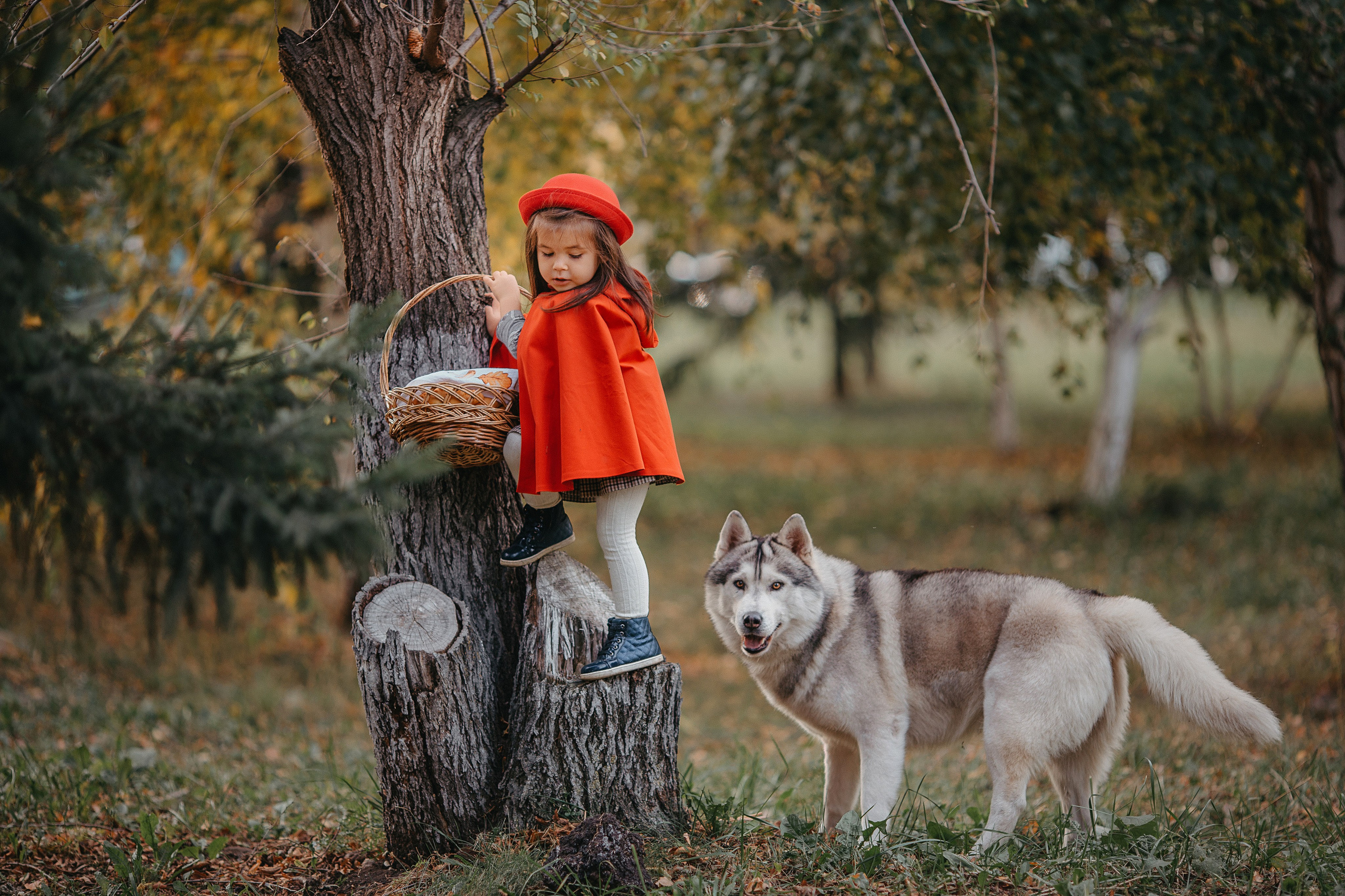 Красная шапочка. Свадебный, семейный и детский фотограф Набережные Челны