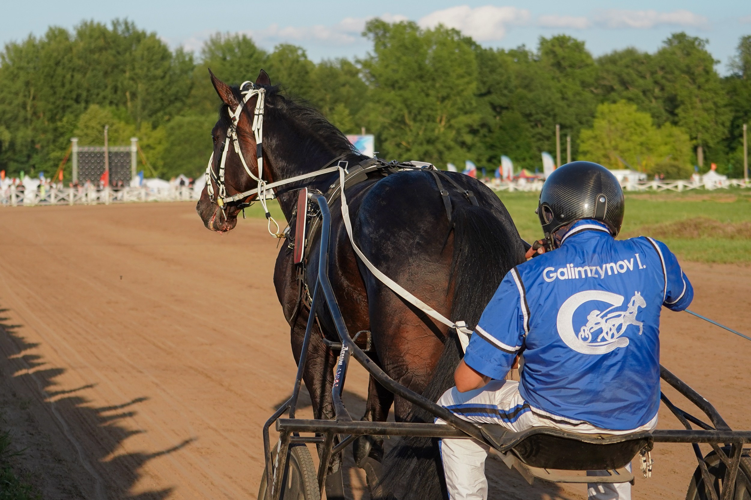 III конные бега на Кубок Главы Чувашии. Фотограф-анималист, портретный фотограф в Чебоксарах Мария Садыкова