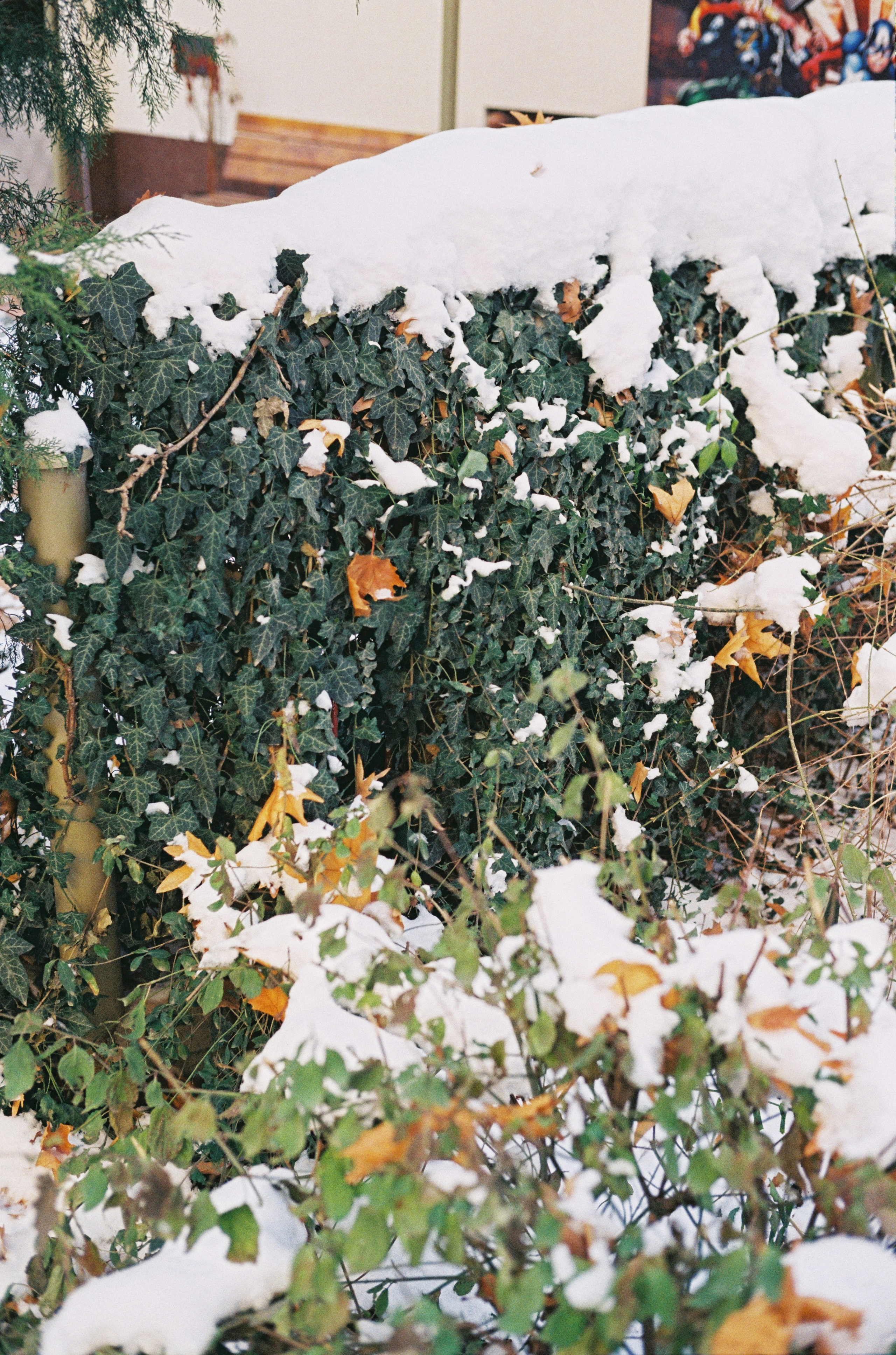 Tashkent 2022-2023. Dima Voronetsky