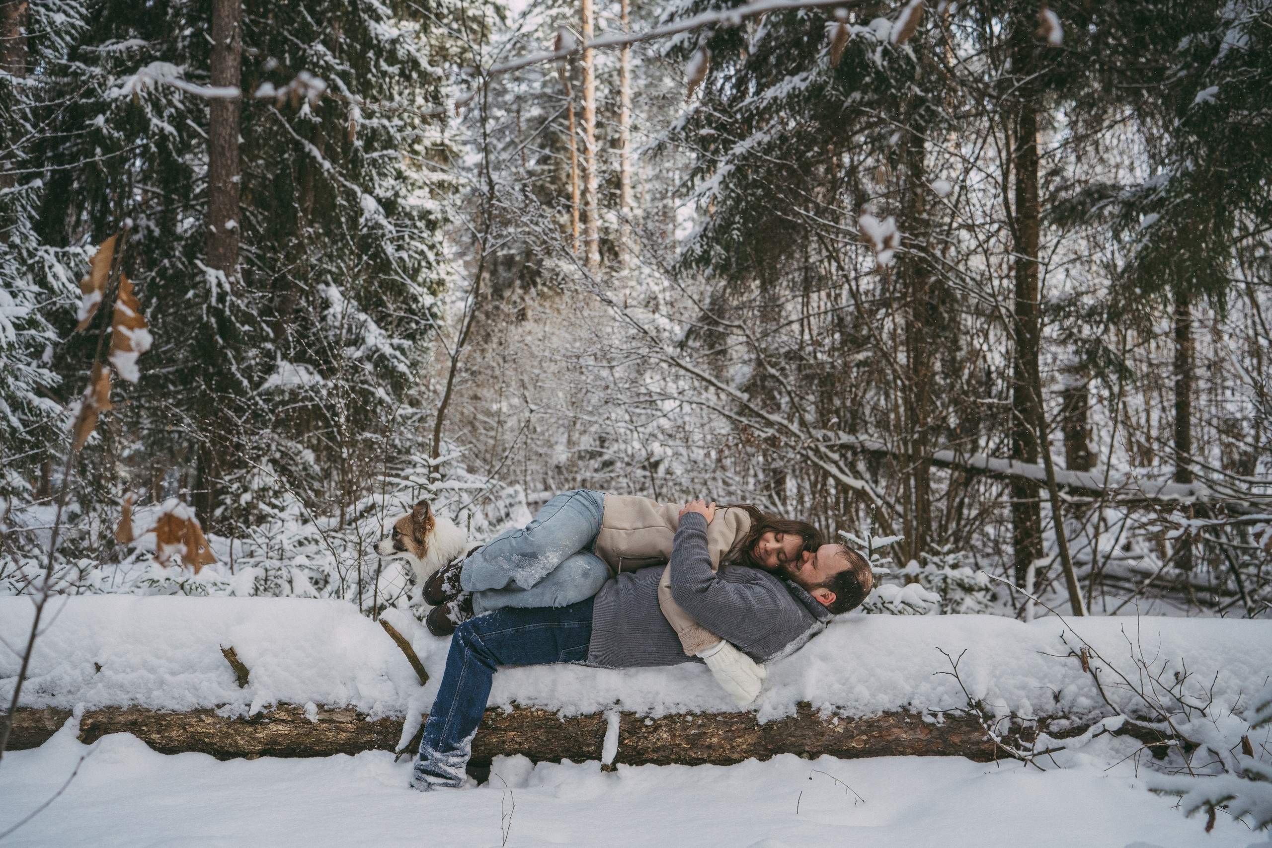 Катя, Анатолий и Елай. Фотограф анималист в Москве и Санкт-Петербурге Свиридова Анна