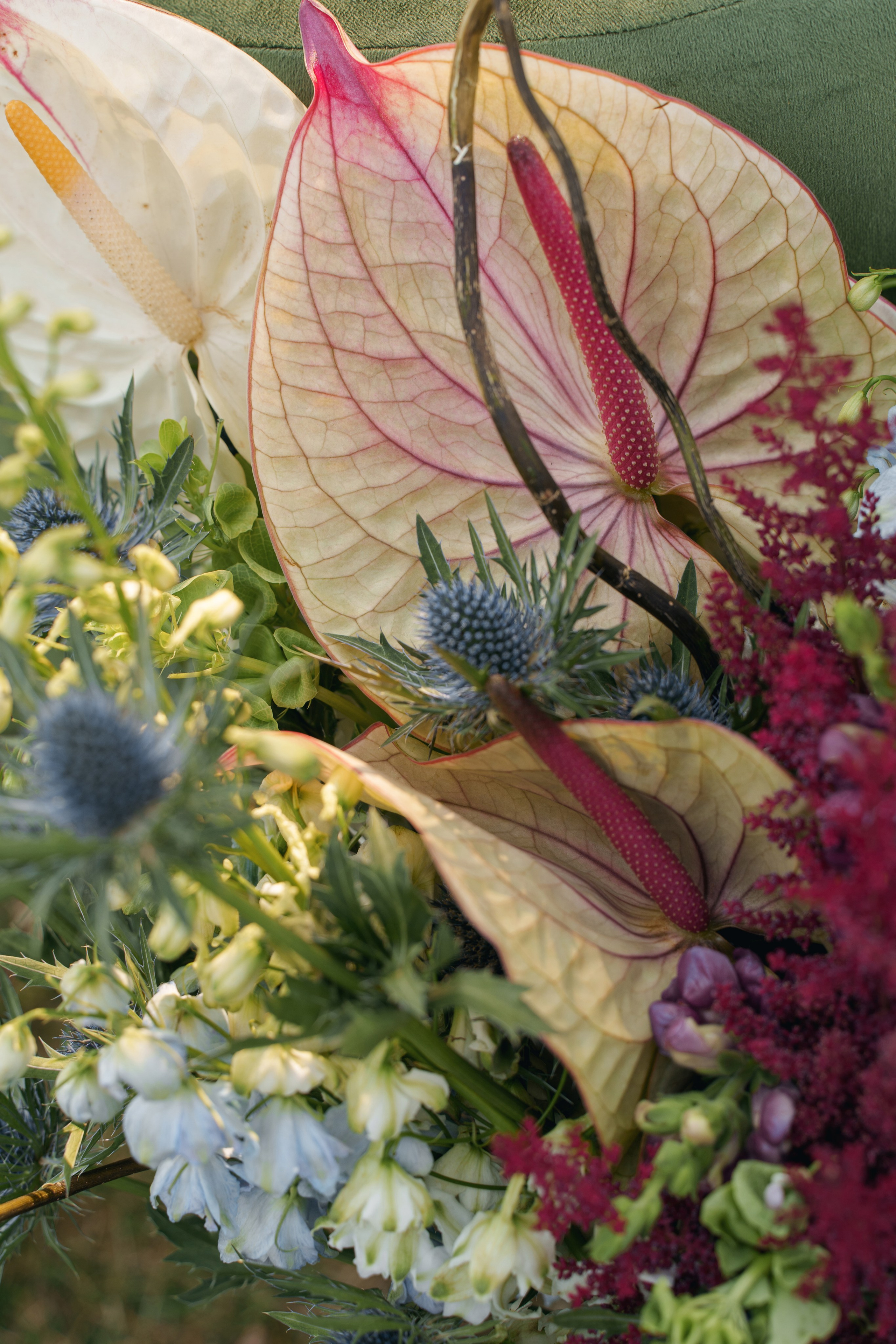 Держи в курсе (ДВК). Свадебный фотограф в Ростовe-на-Дону Анастасия Прутова