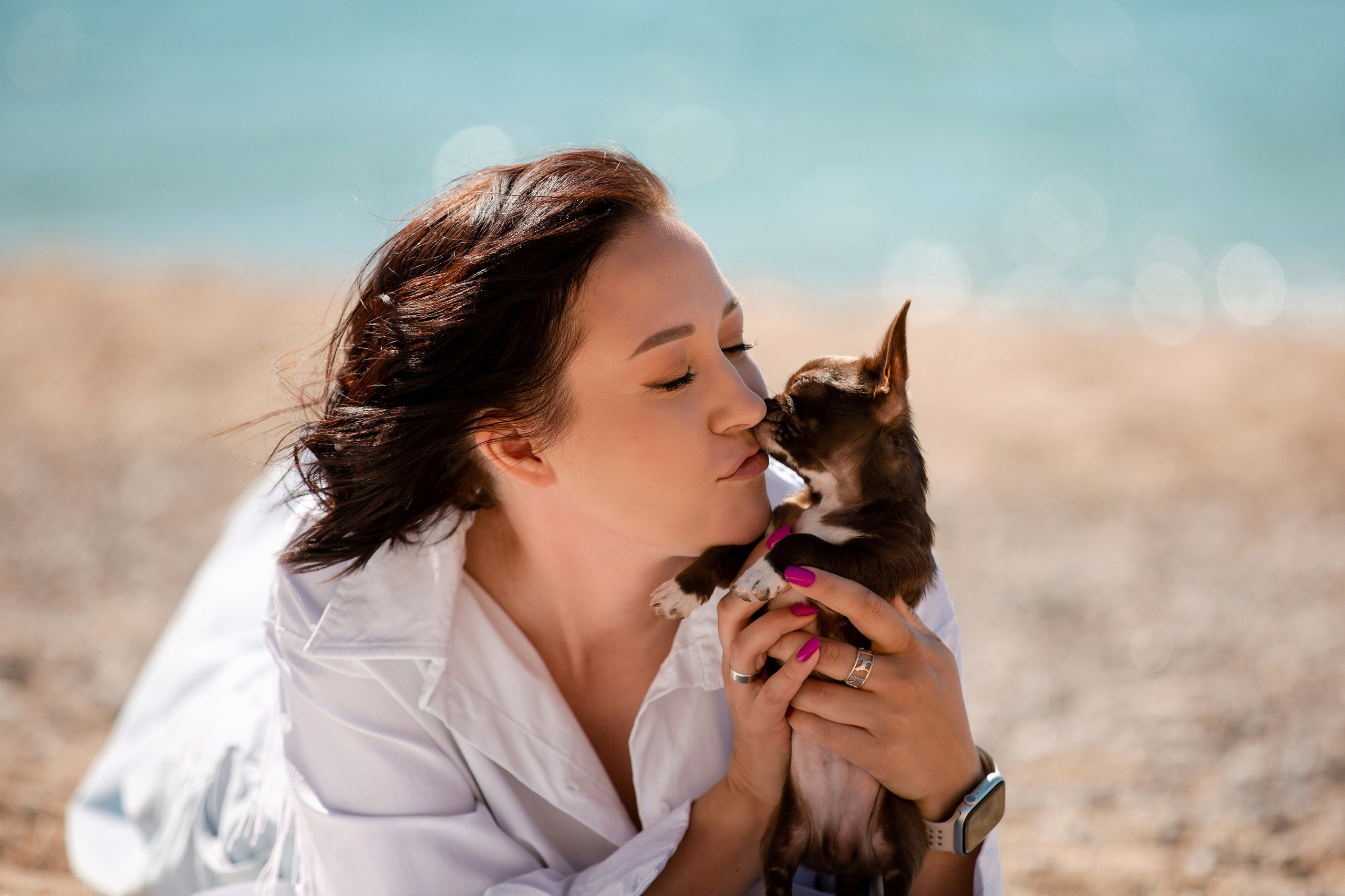 Веймаранер и чихуахуа в Крыму. Фотограф-анималист в Краснодаре Маша Мельникова