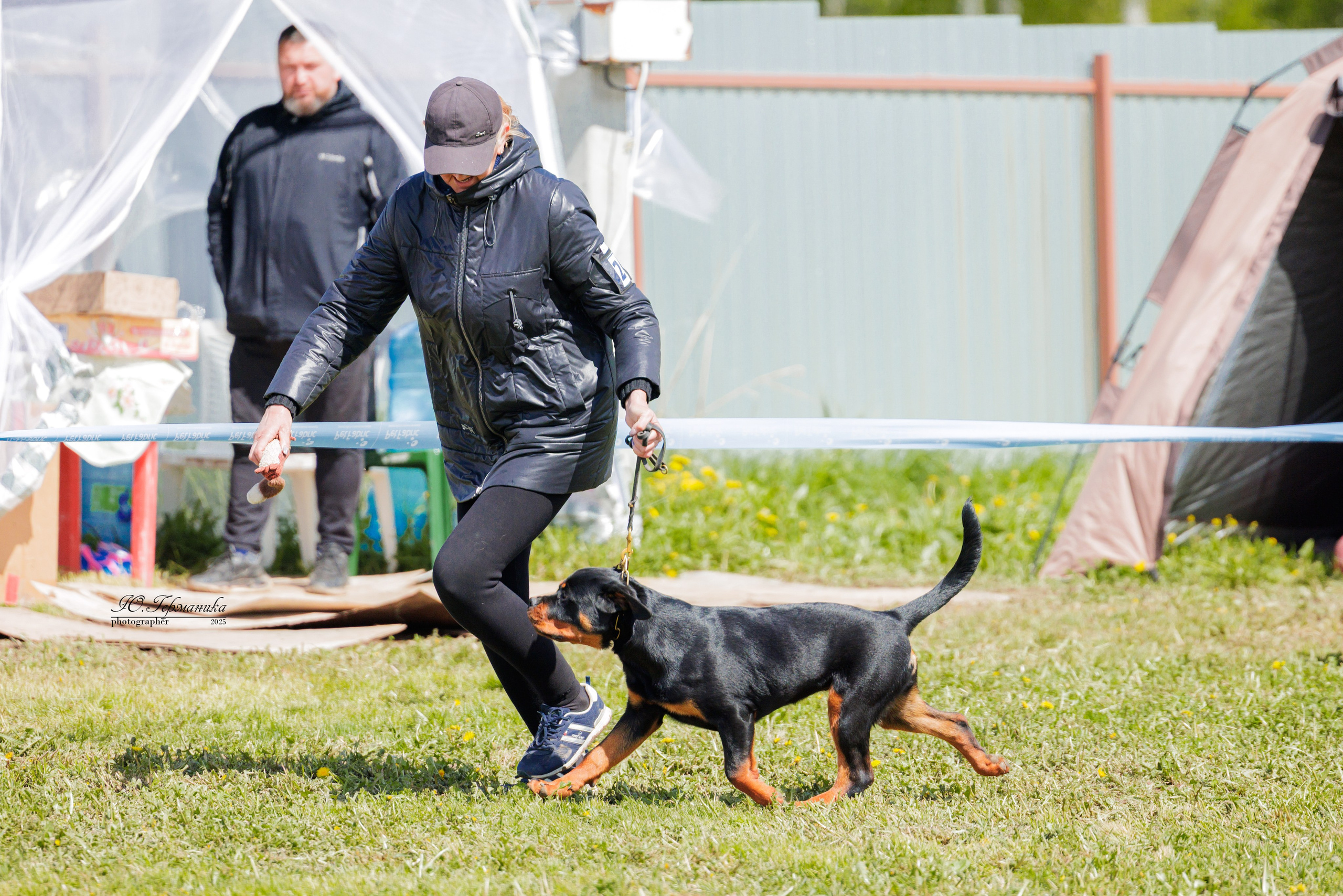 Нижний Новгород 2хмоно ротвейлеров 10-11.05.2025. Фотограф-анималист Юлия Германика