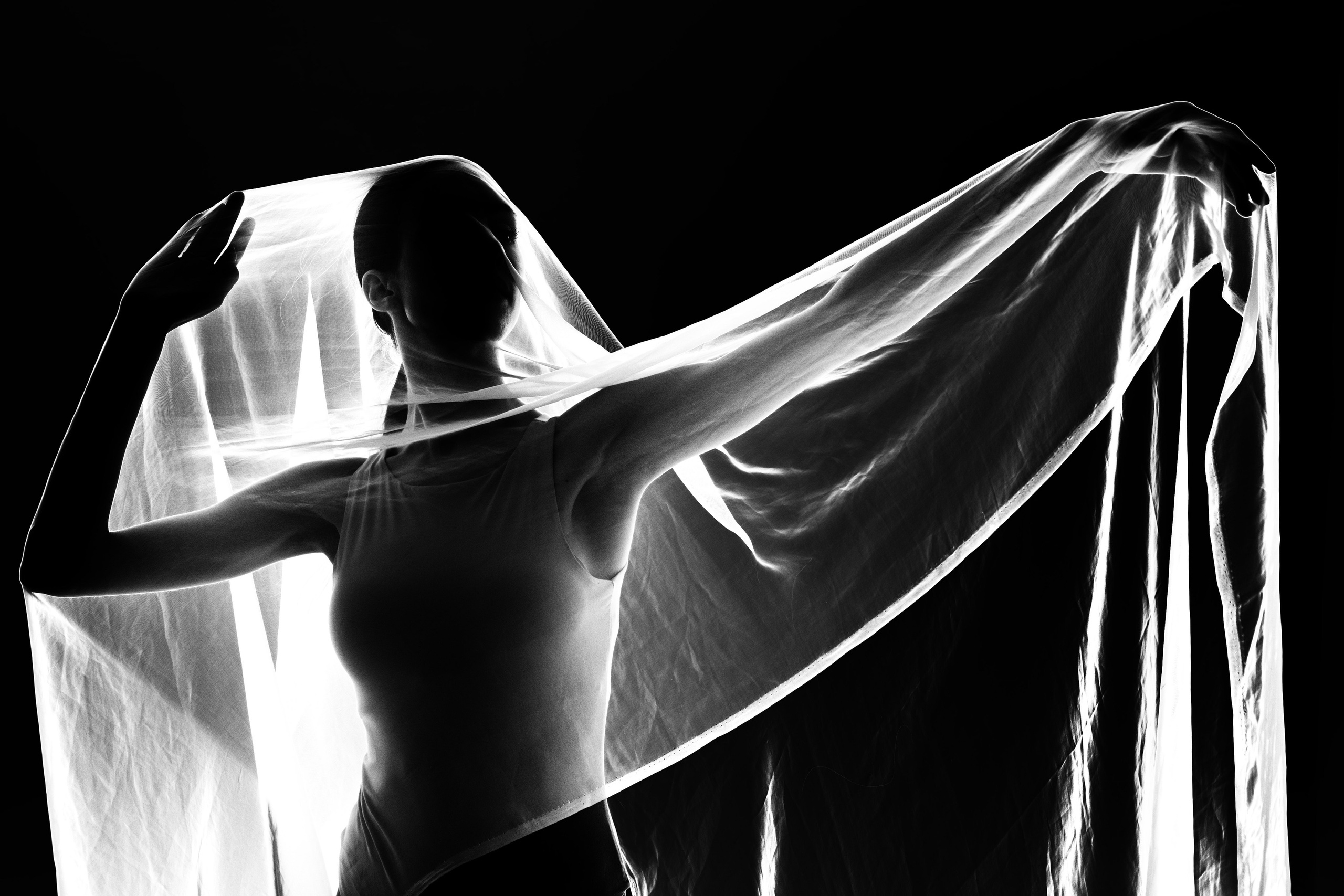 Искусство линии и света